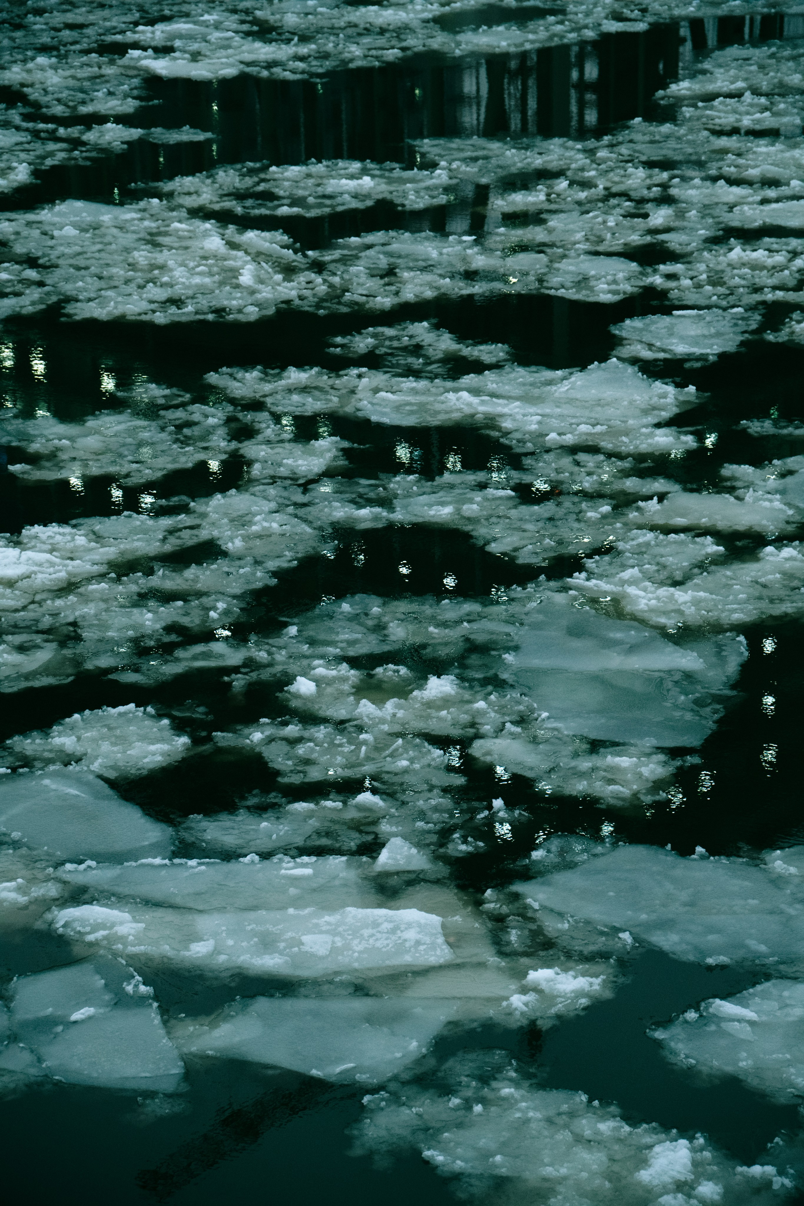 Стрит. Molotov Photographer