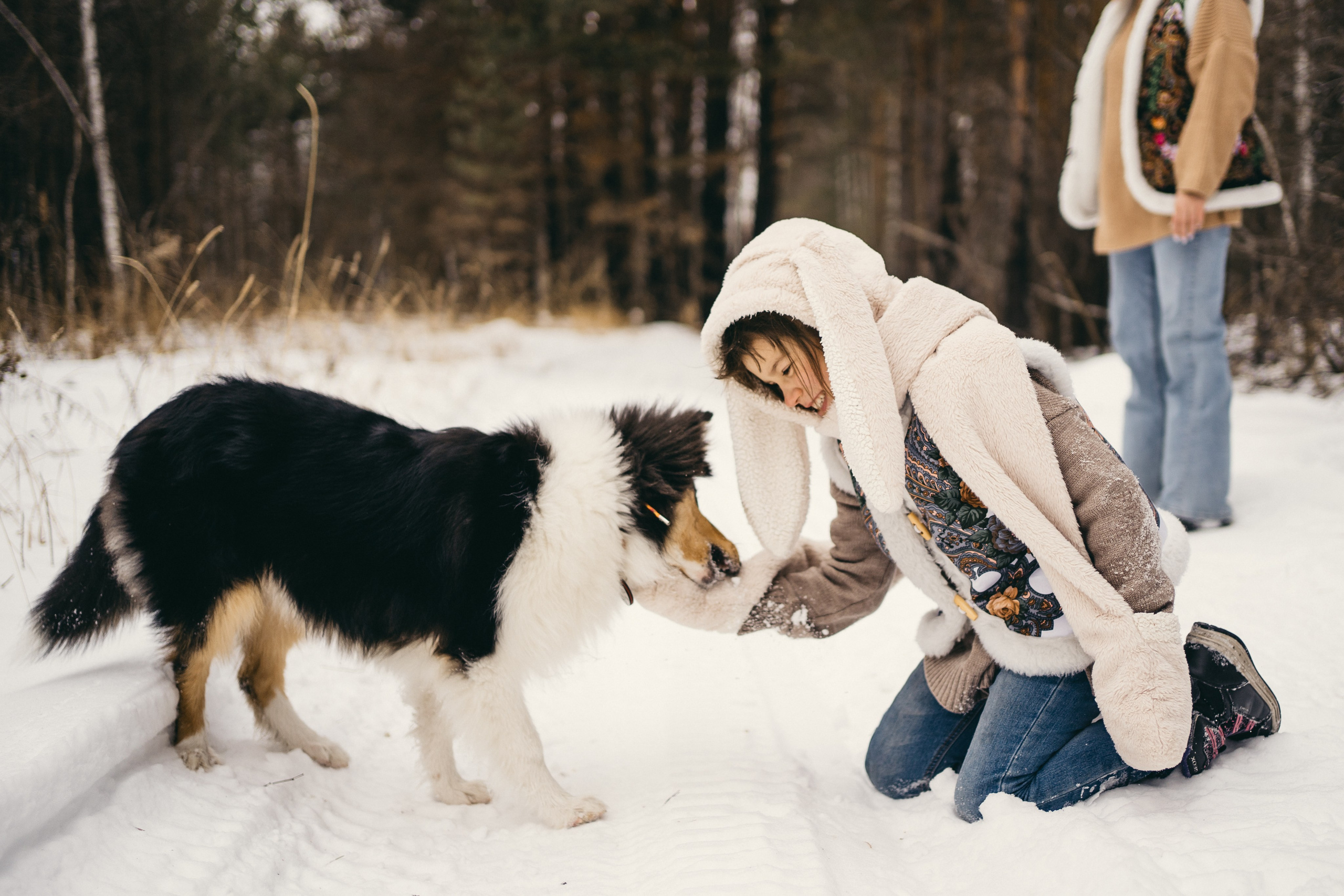 Альма. Фотограф-анималист Анастасия Большакова
