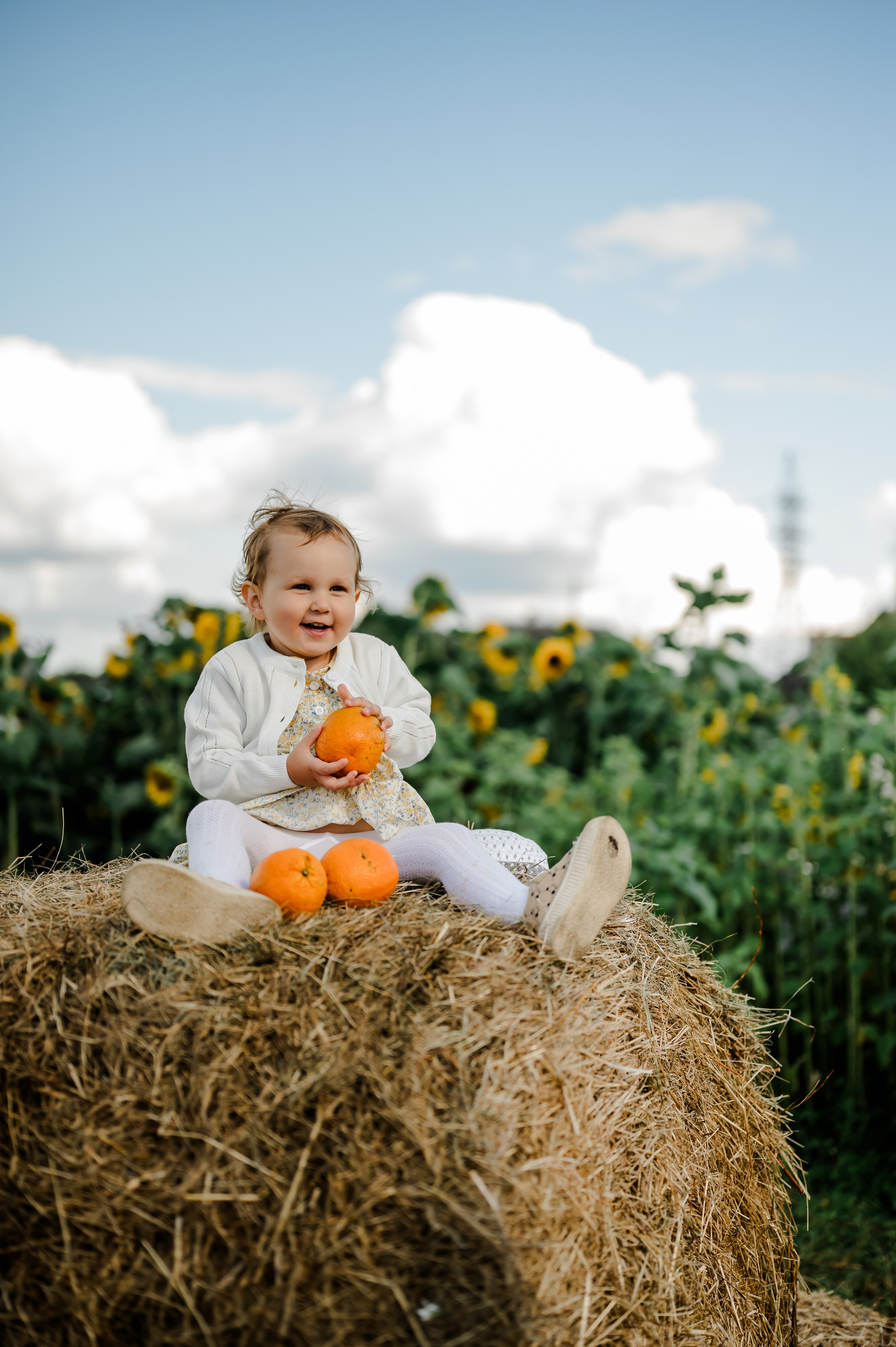 Подсолнухи. Свадебный и семейный фотограф Евгения Кононова