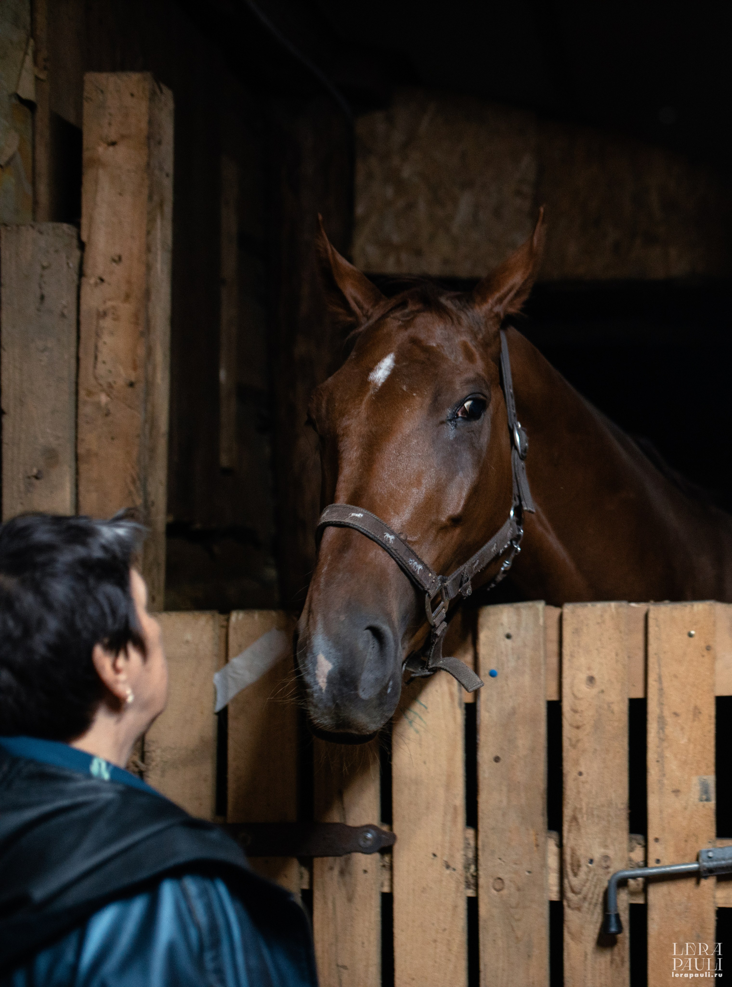 ДПСО «ЛизаАлерт». Главная
