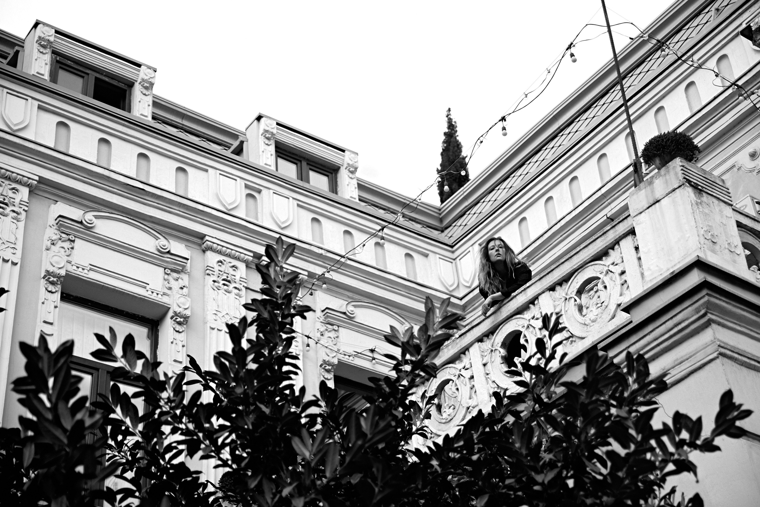 ODONATA. Yulia Otroschenko