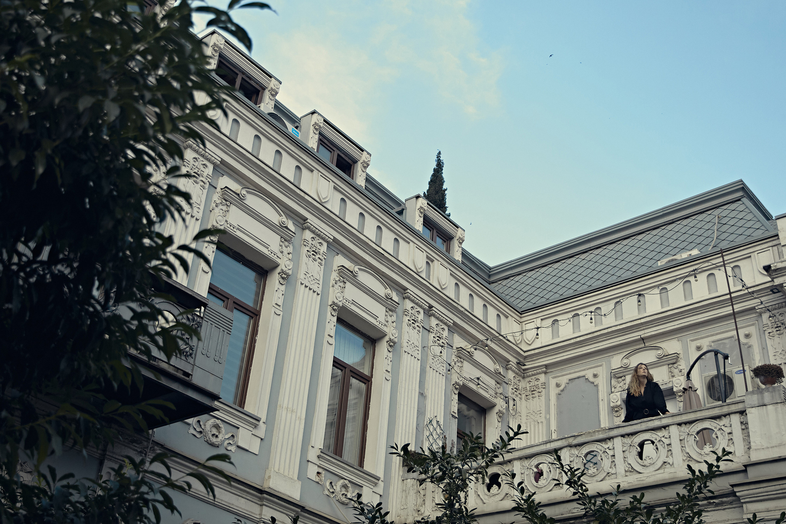 ODONATA. Yulia Otroschenko