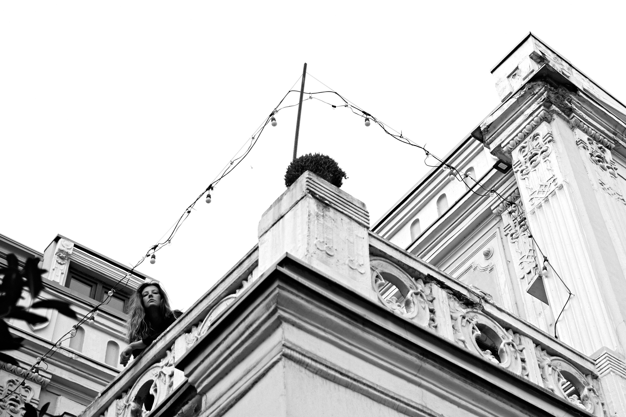 ODONATA. Yulia Otroschenko