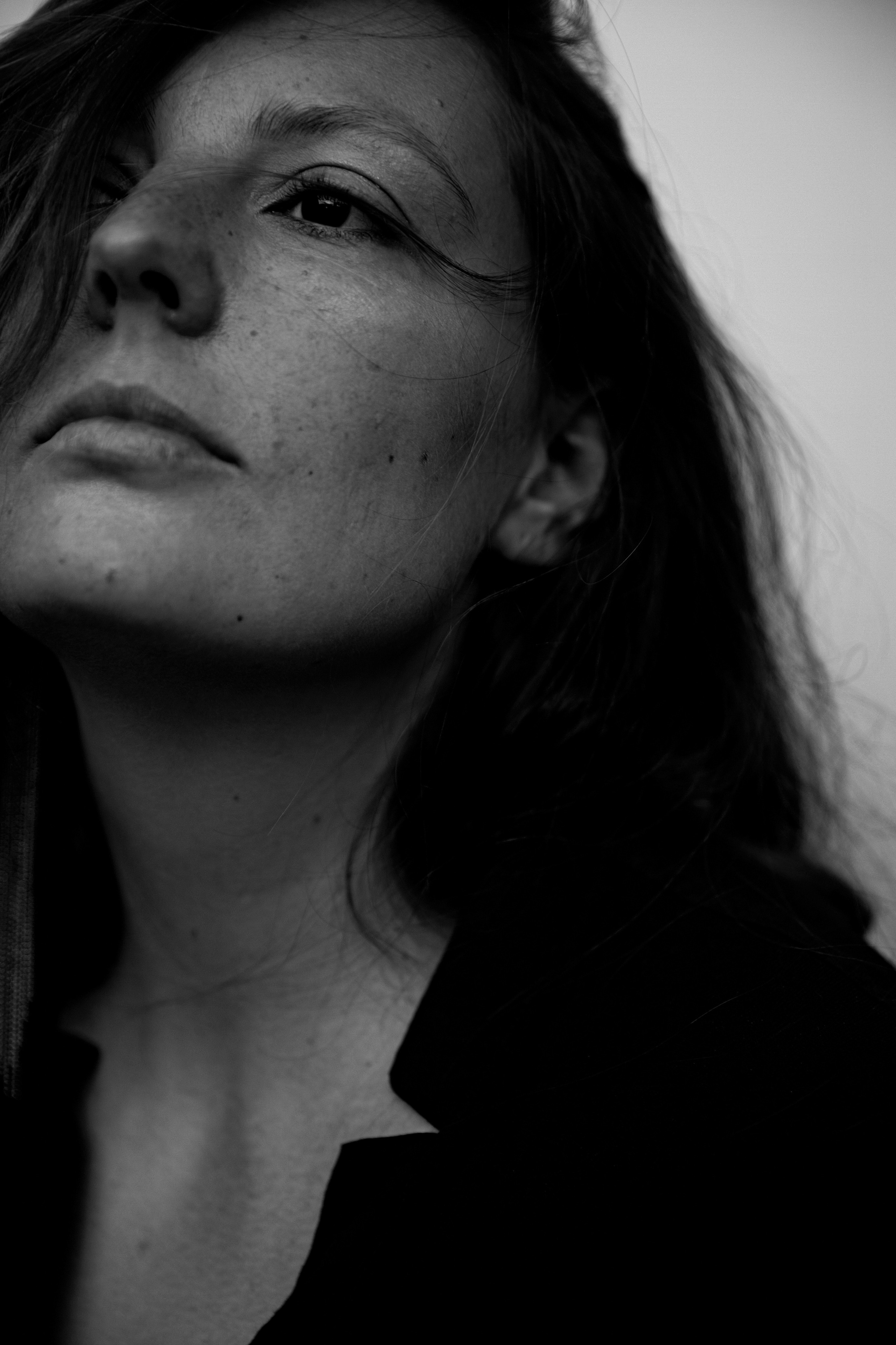 ODONATA. Yulia Otroschenko