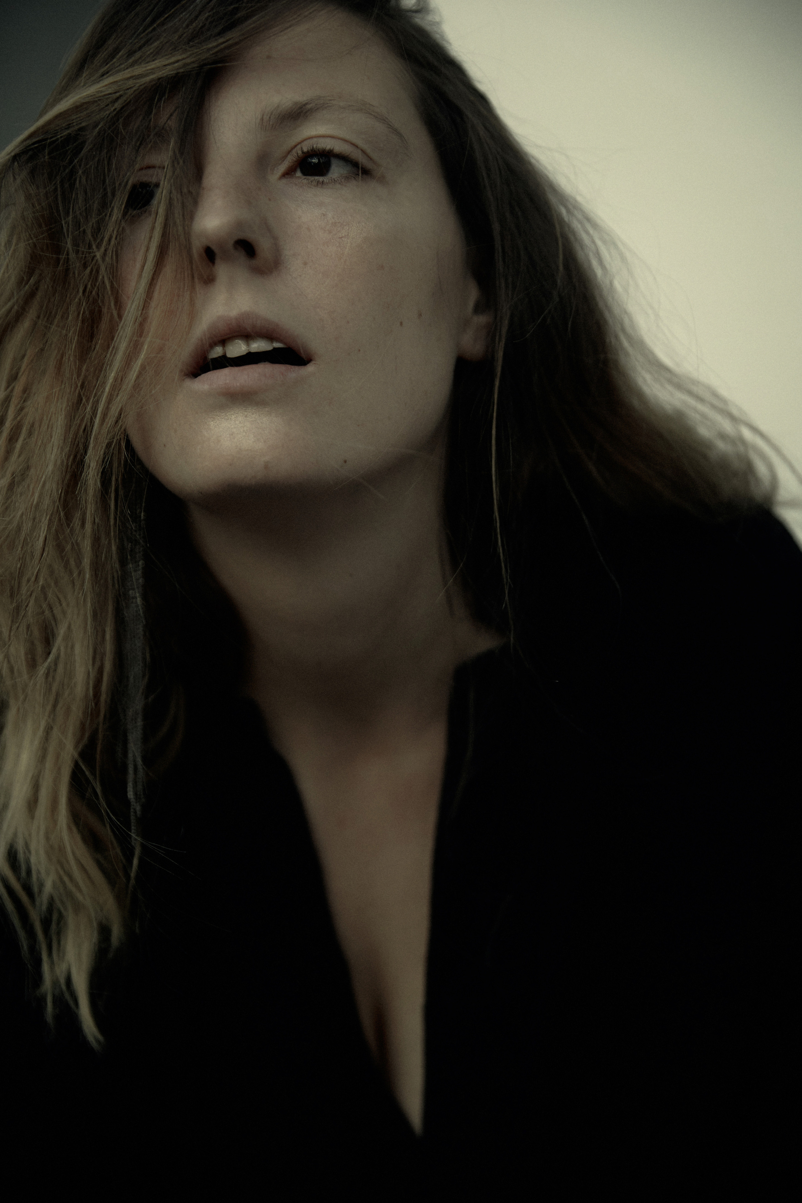 ODONATA. Yulia Otroschenko