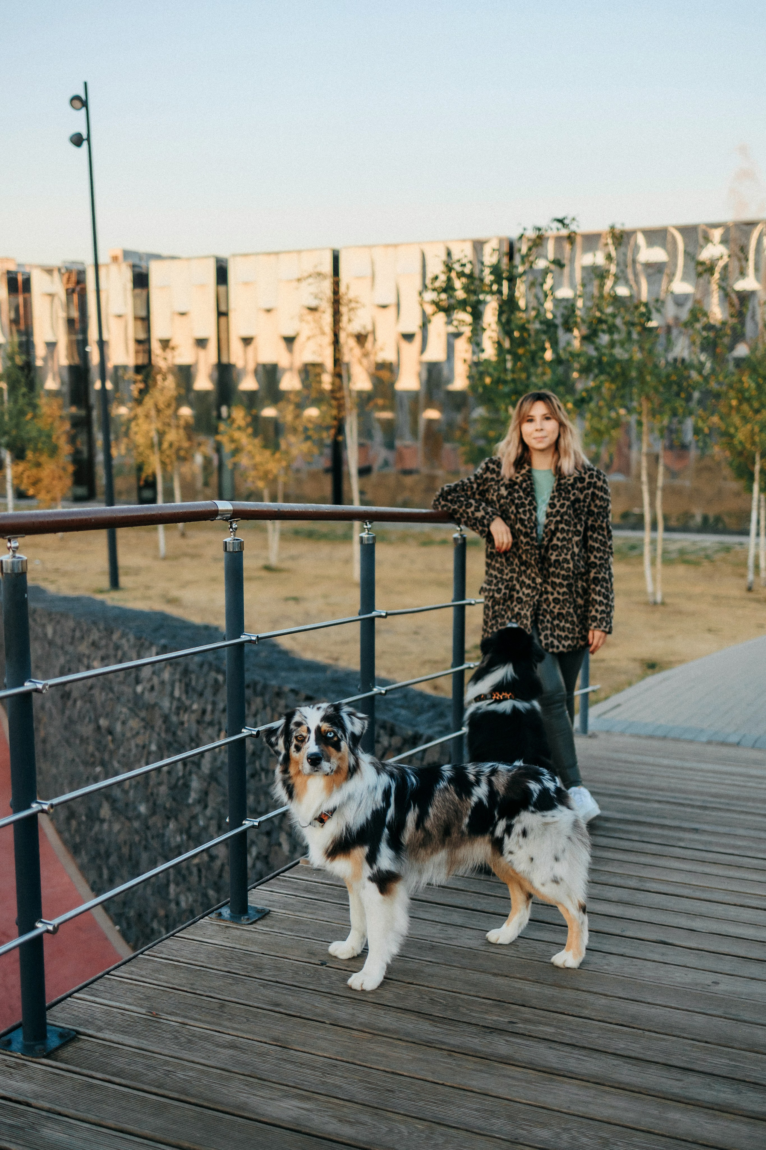 Аня, Чарли и Ева. Фотограф-анималист Елена Радченко, Москва