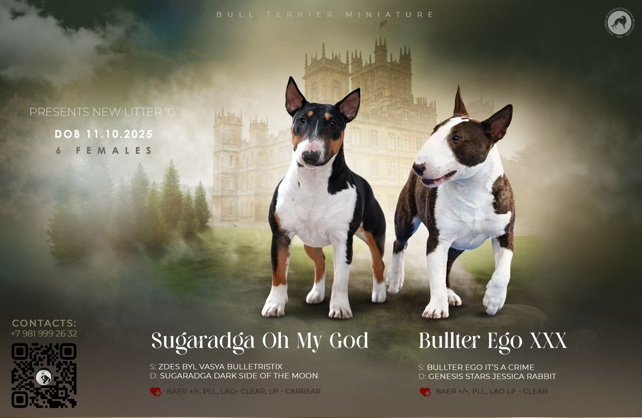 ПРЕЗЕНТАЦИИ. ФОТОГРАФ-АНИМАЛИСТ l LANA POLYAKOVA