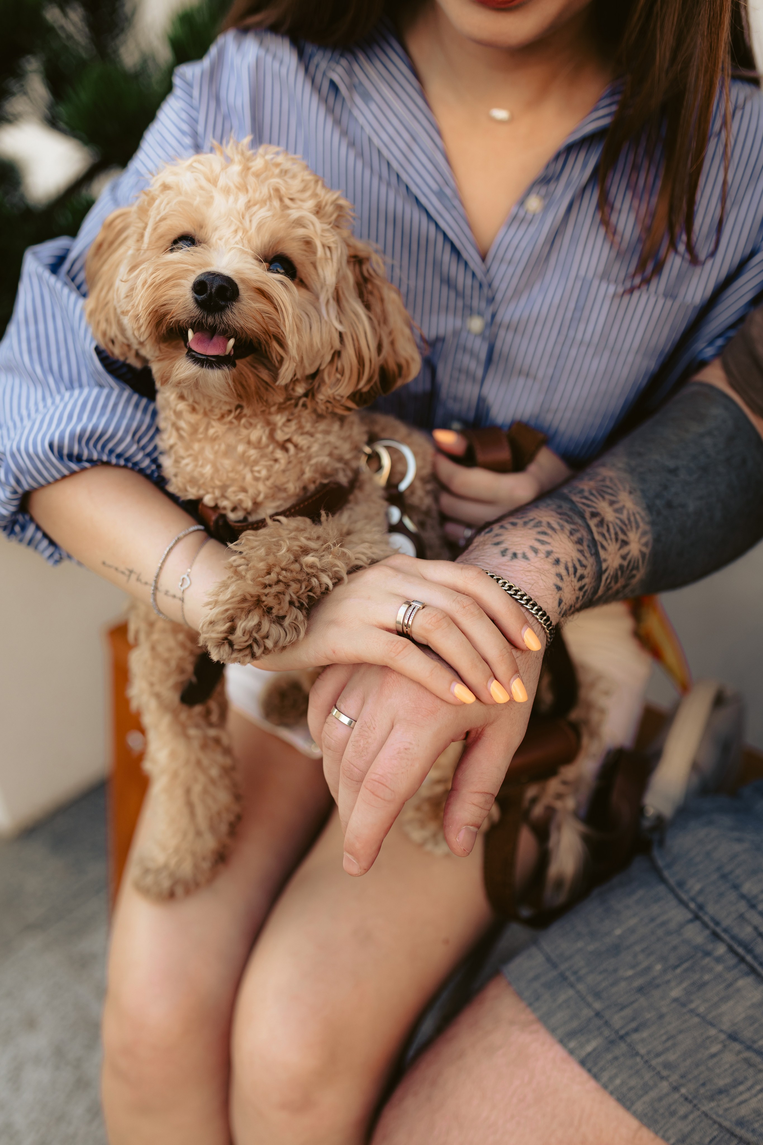 Парные и семейные съемки. Фотограф Анастасия Козловская aadazzling