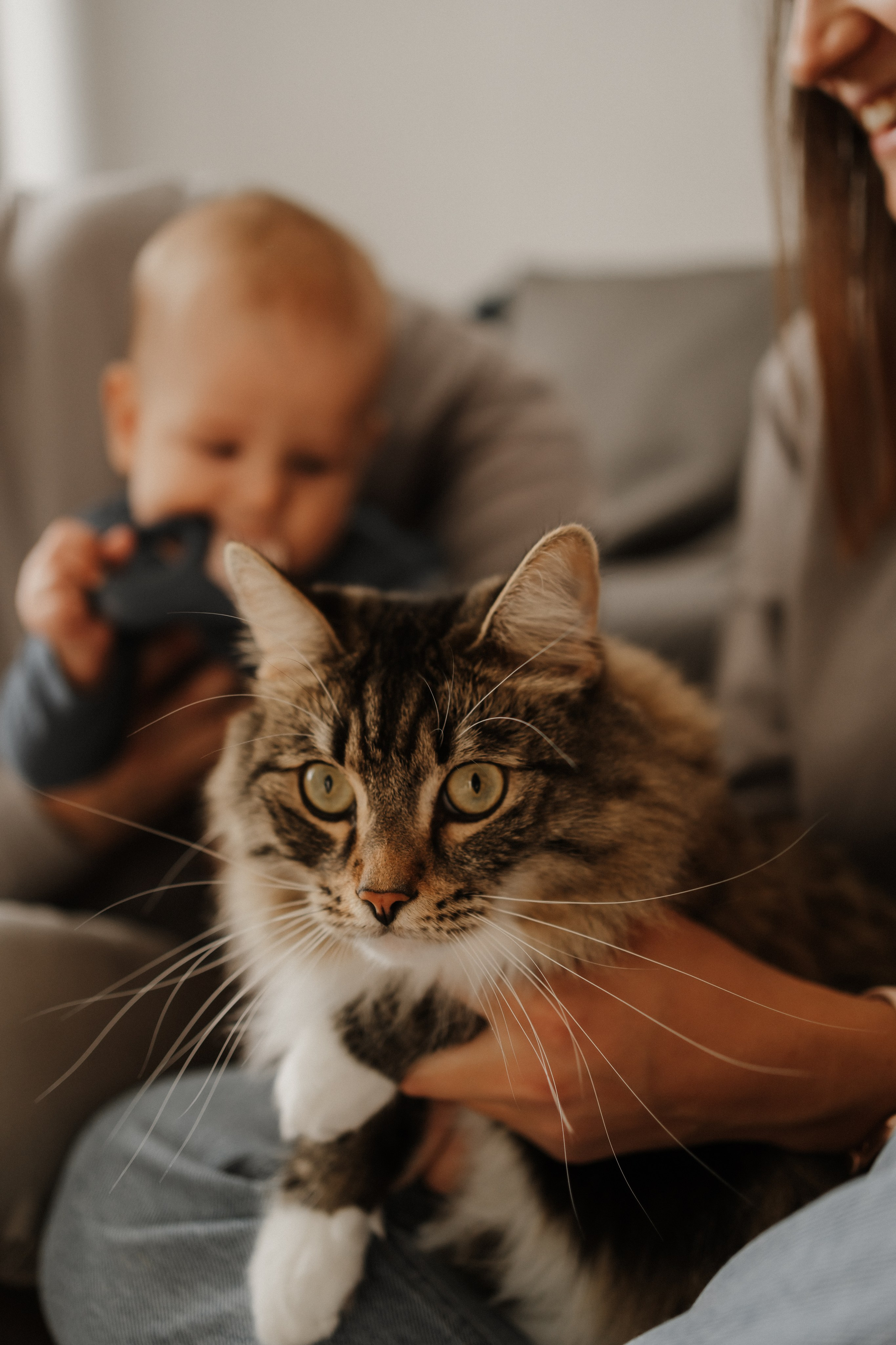 Семейная домашняя фотосъемка в Архангельске. Портретный и свадебный фотограф в Архангельске Елизавета Стрекаловская