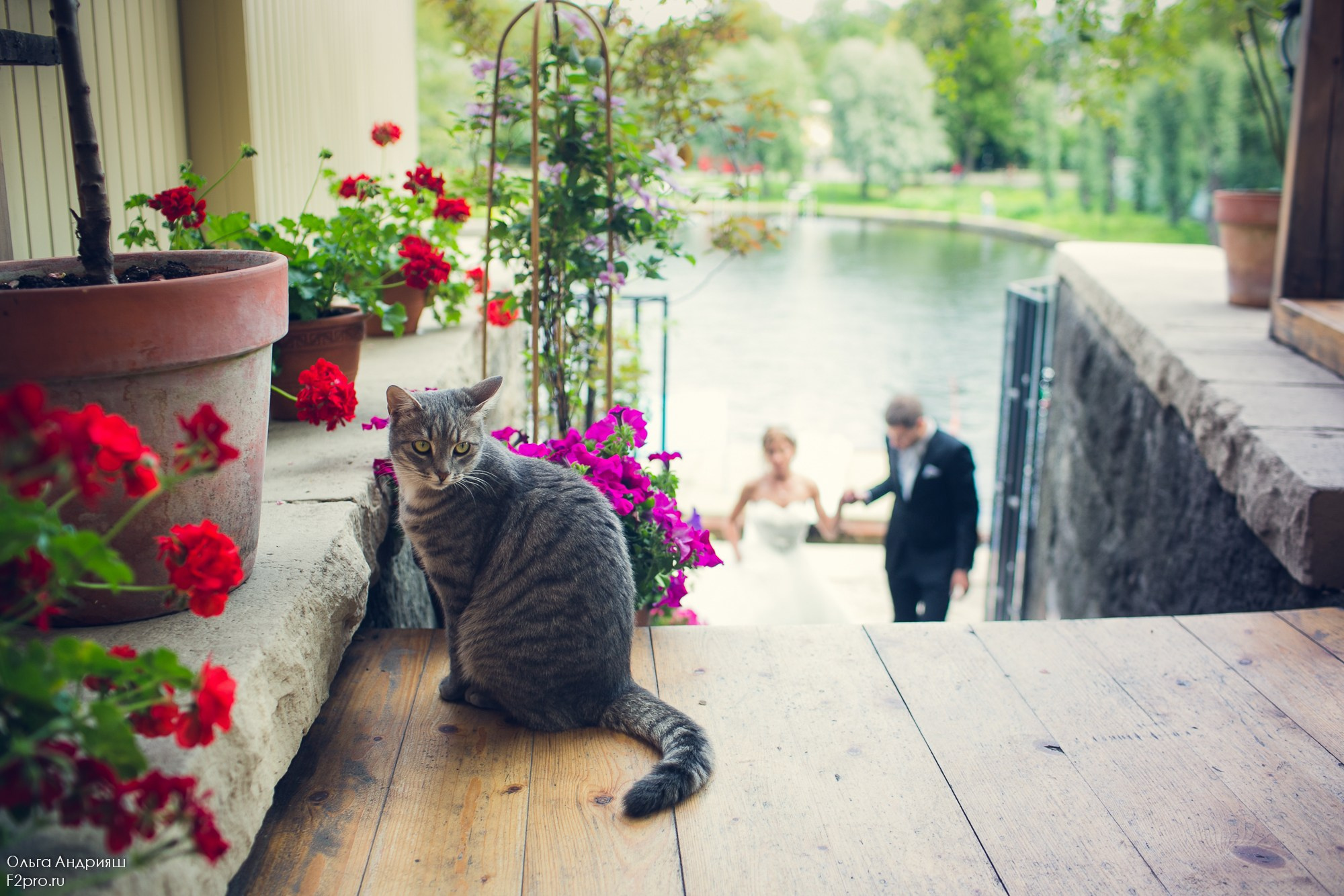 Нежность. Семейный, портретный и свадебный фотограф в Санкт-Петербурге и Москве