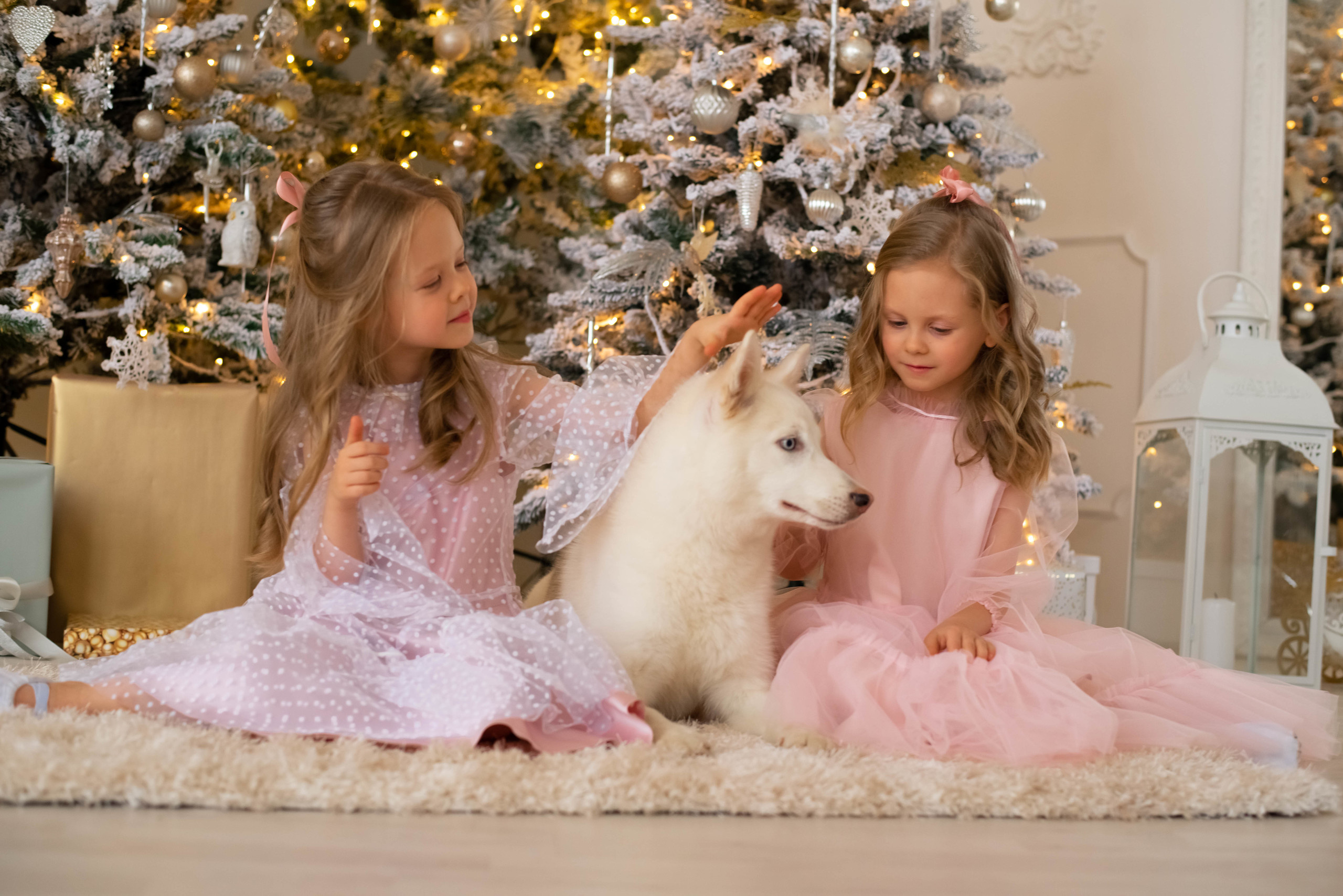 Зима. Семейный и детский фотограф в Москве Акамова Людмила