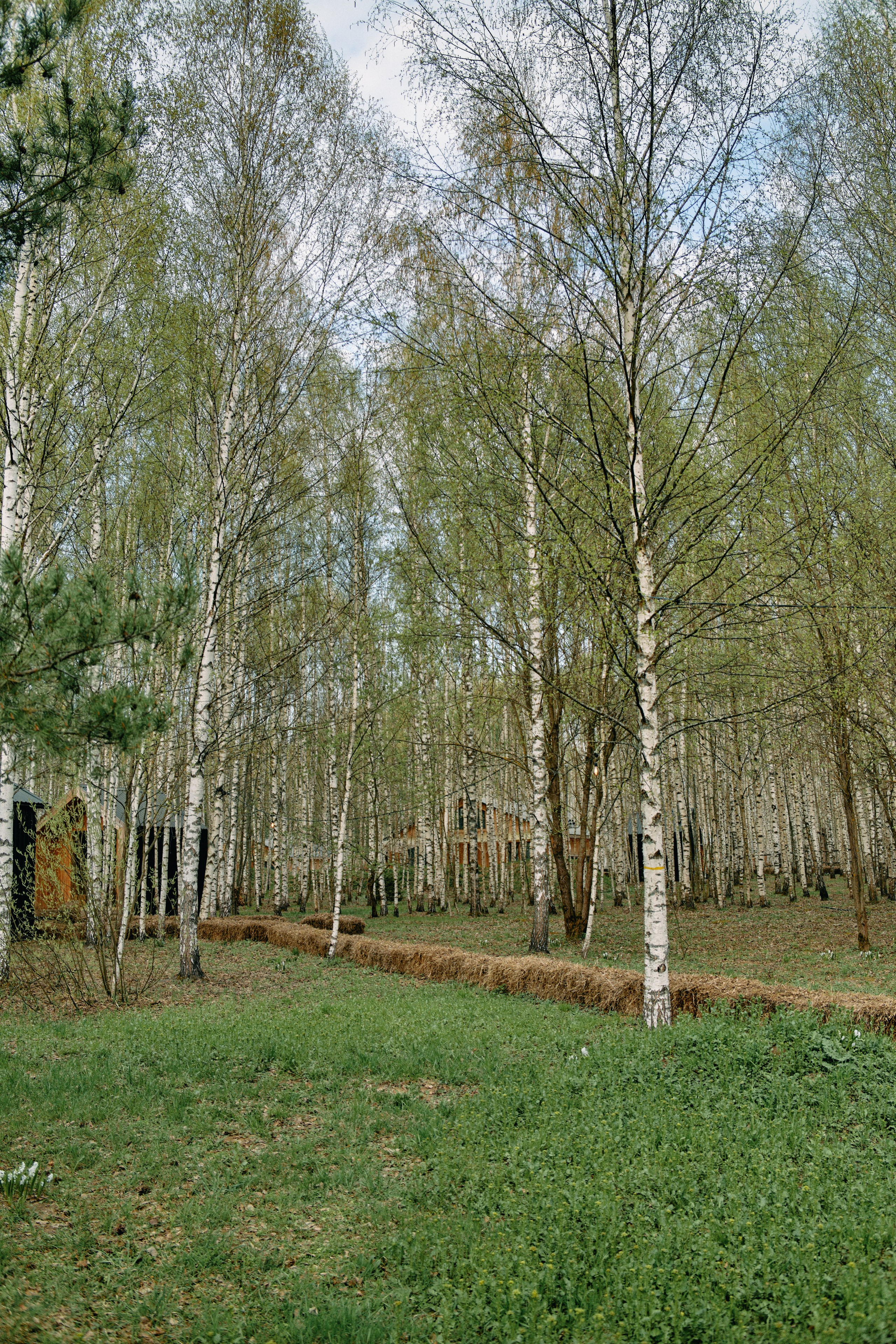 Бутик-отель Поле летом. Профессиональный Фотограф во Владимире, в Москве и в Суздале — Полина Романычева
