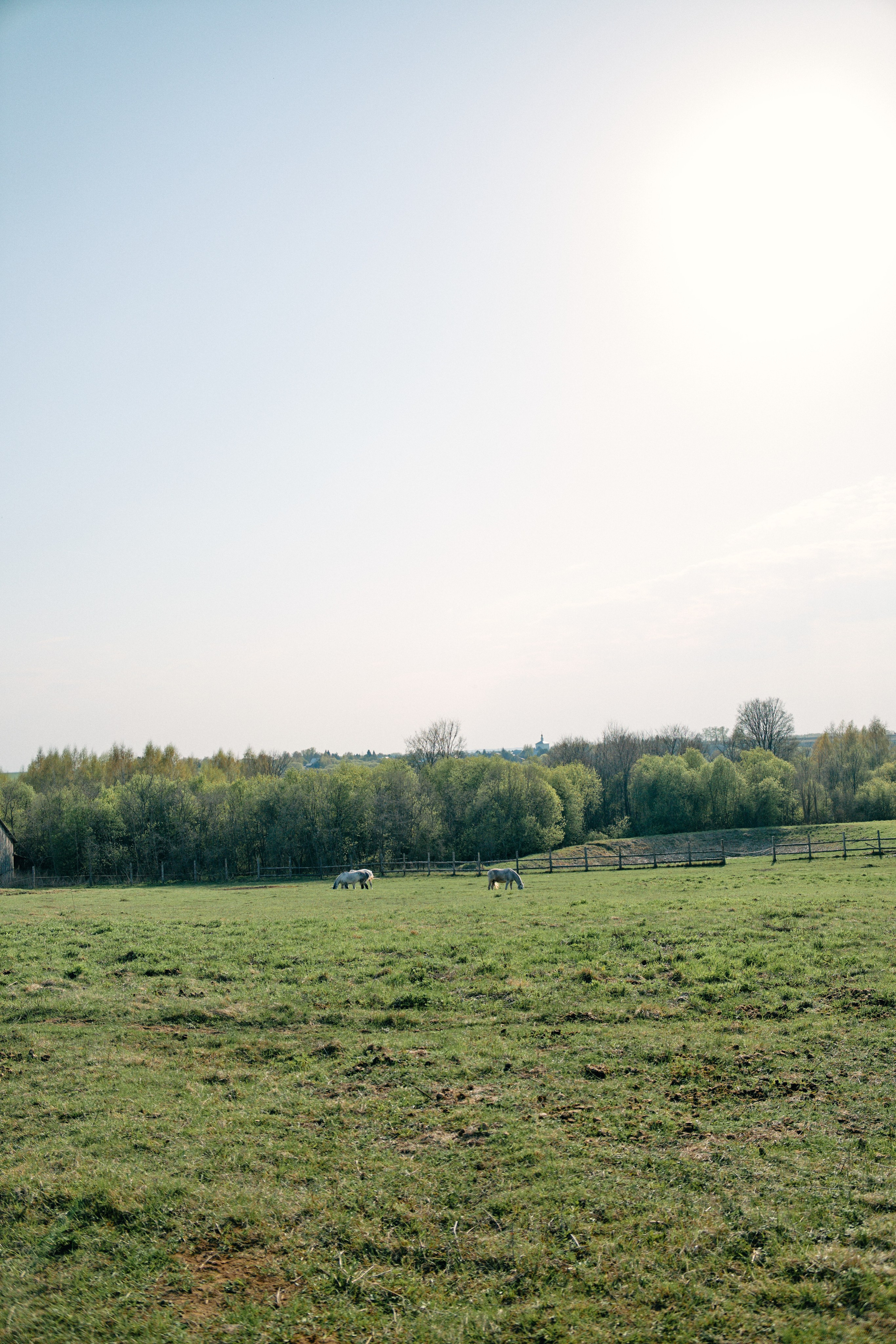 Бутик-отель Поле летом. Профессиональный Фотограф во Владимире, в Москве и в Суздале — Полина Романычева