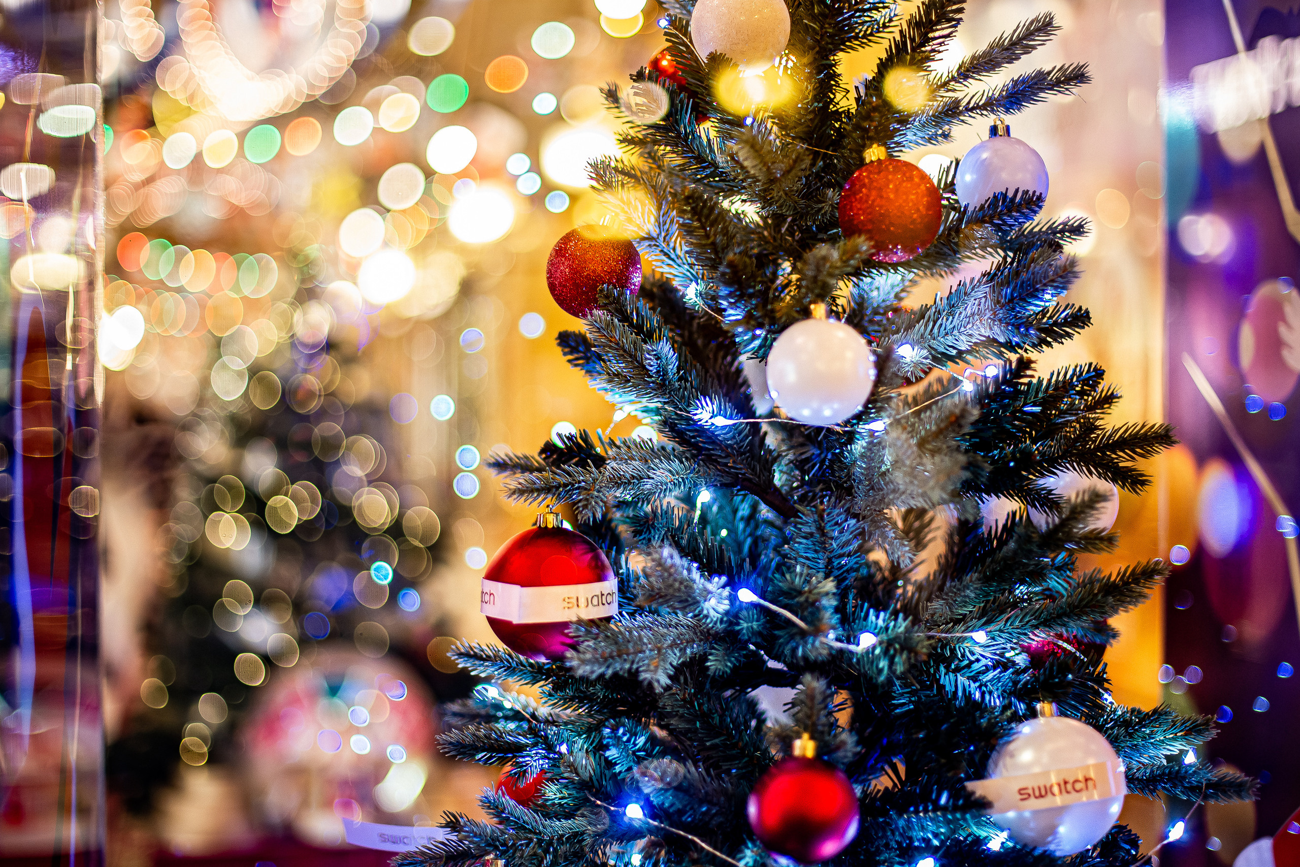 WINTER MAGIC. Фотограф в Москве Людмила Денисенко