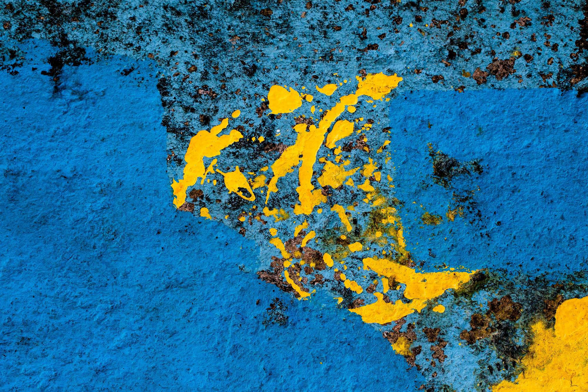 SUMMER GEOMETRY. Фотограф в Москве Людмила Денисенко