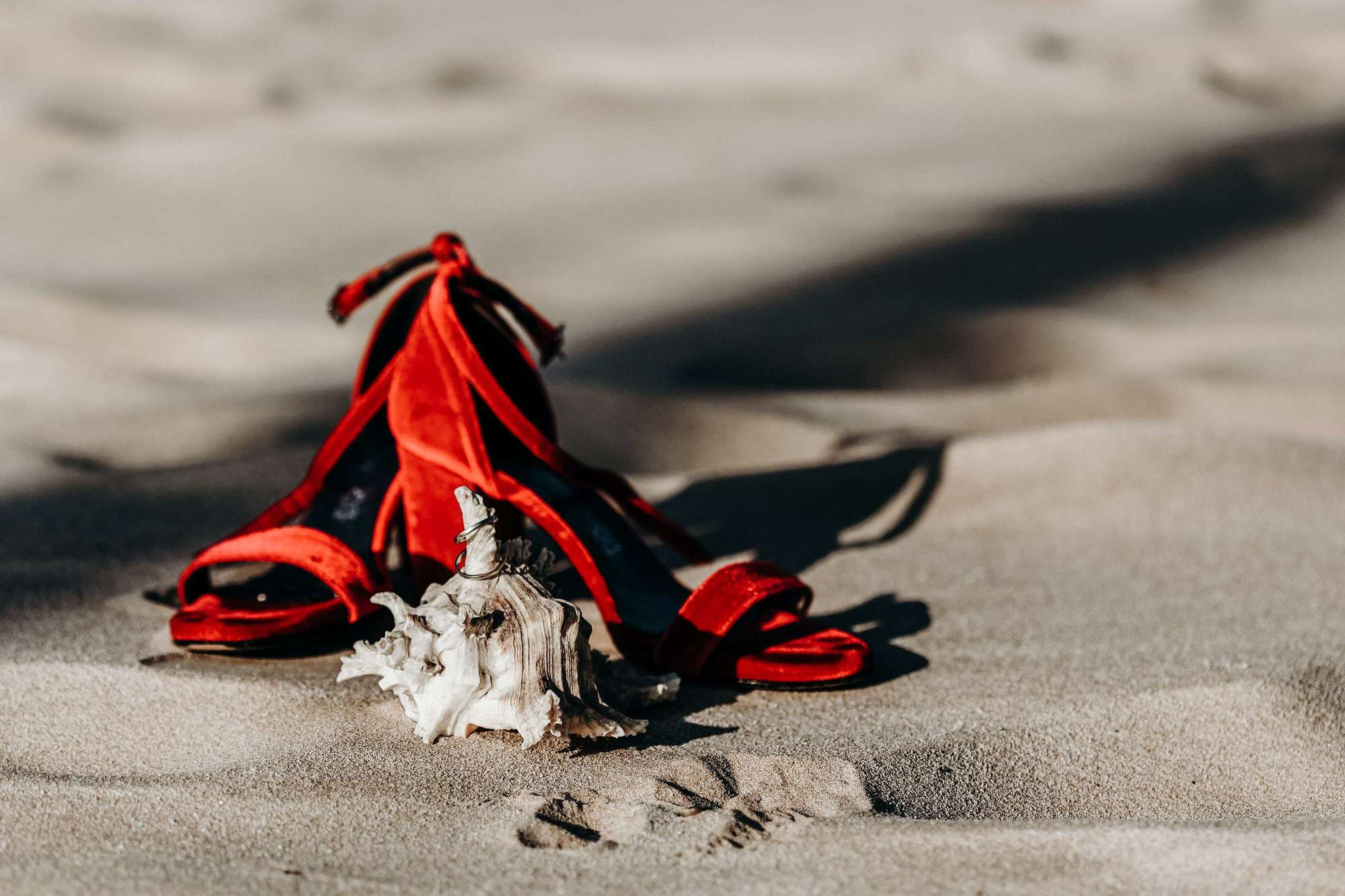 Смотреть в одном направлении. Фотограф в Москве Людмила Денисенко