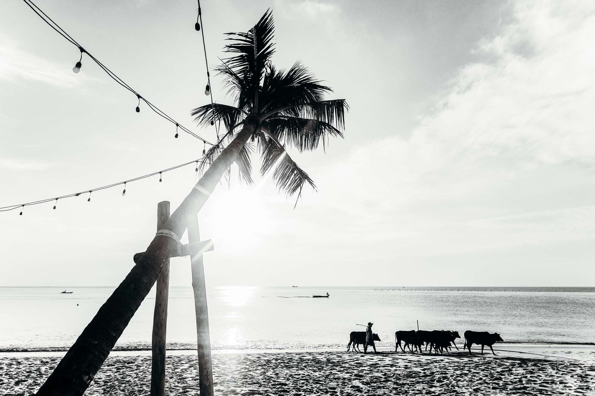 Love, sun and freedom. Фотограф в Москве Людмила Денисенко