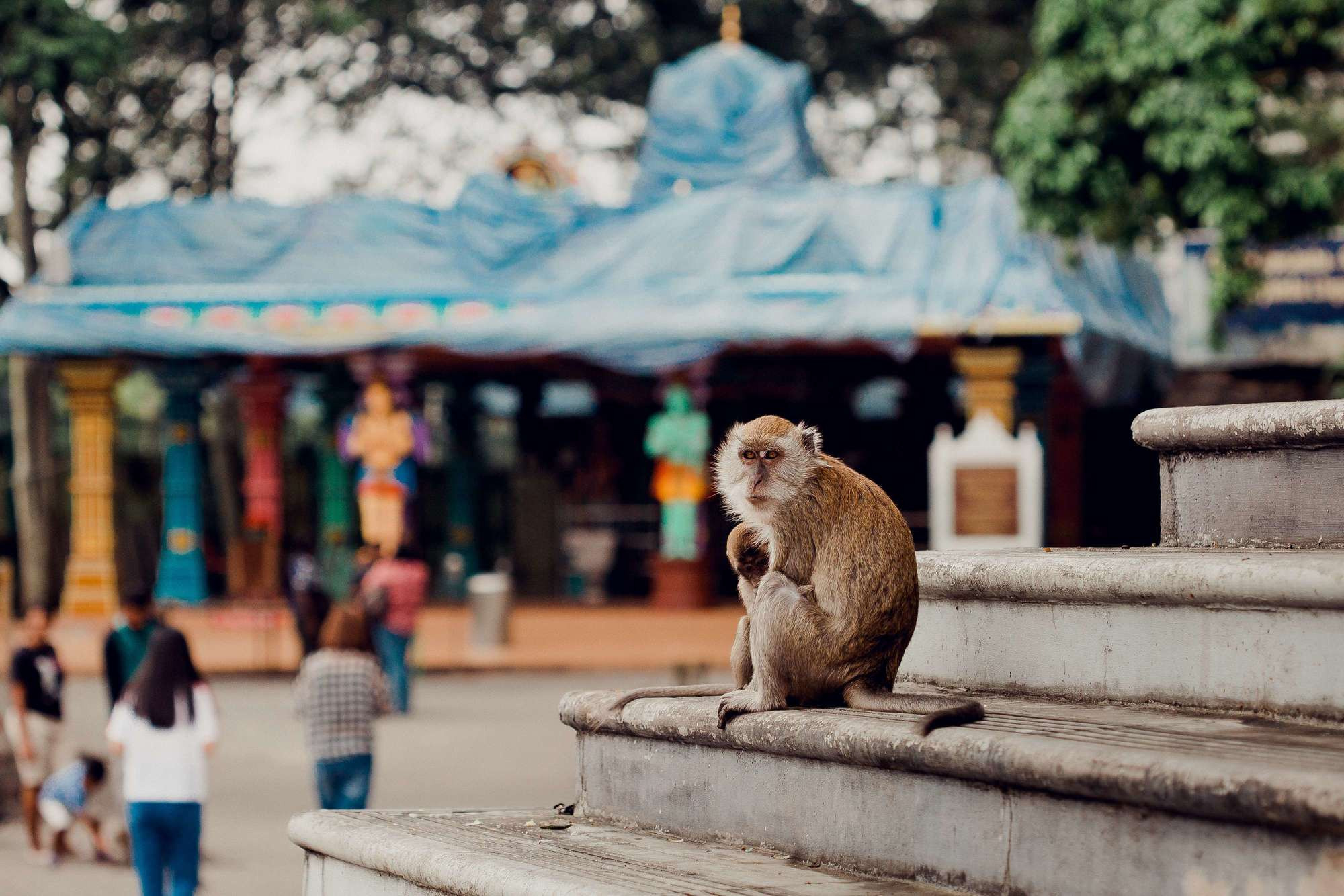 BATU CAVES. Фотограф в Москве Людмила Денисенко