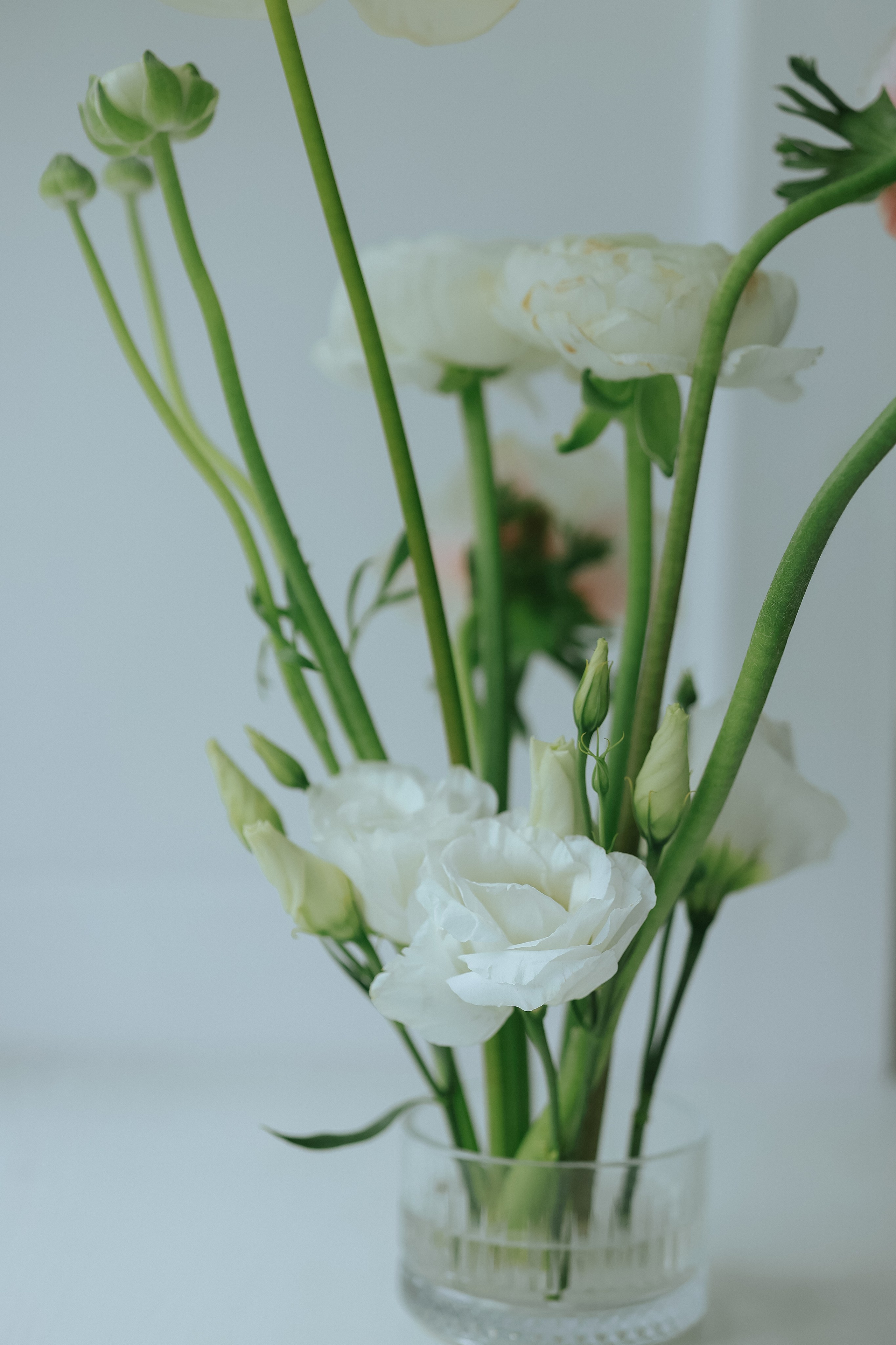 Свадебный и семейный фотограф Кузнецк Пенза Ульяновск