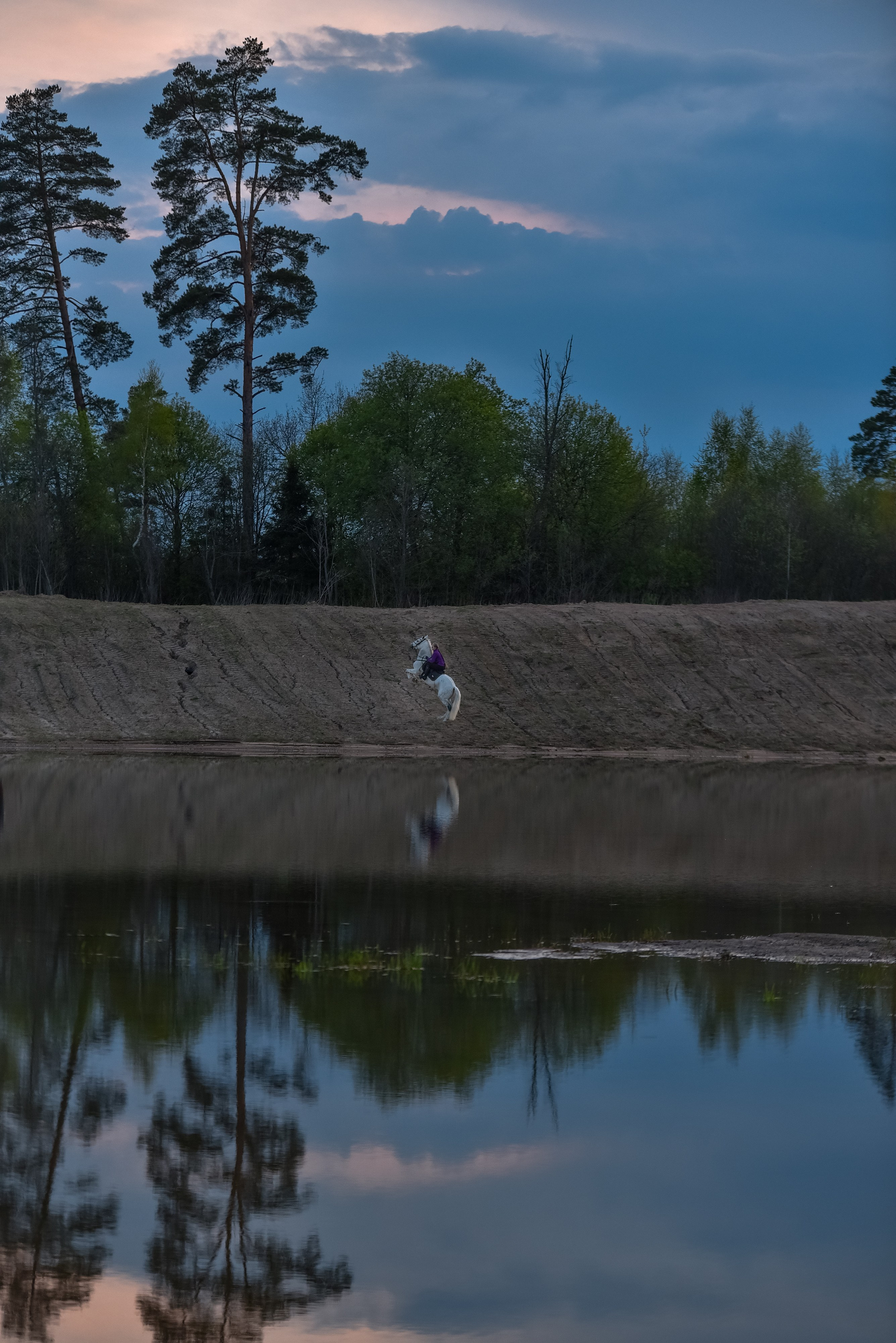 Съемки с лошадьми. Конный фотограф из Москвы Ирина Бондаркова