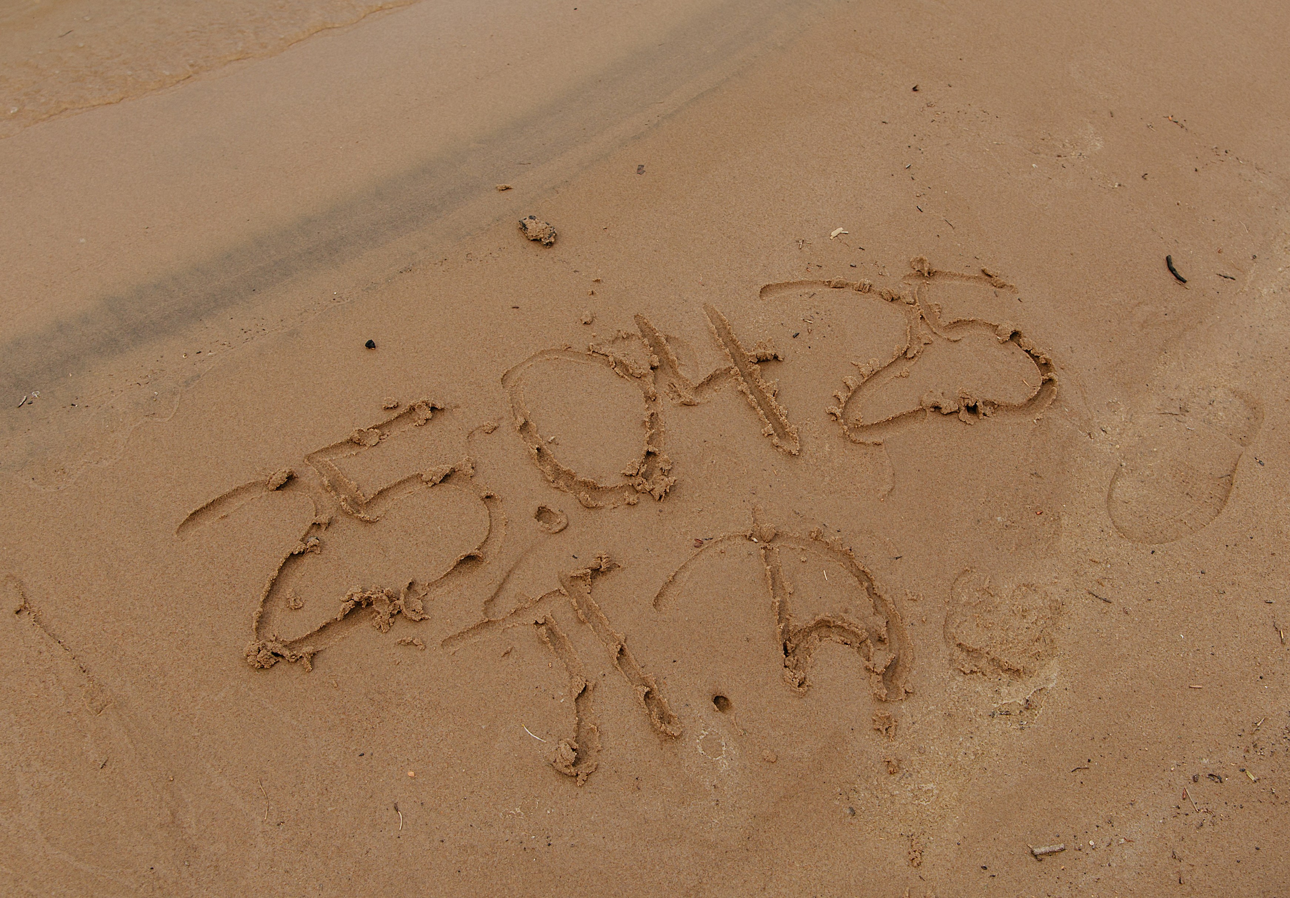 Даниил & Полина. Свадебный и семейный фотограф в Самаре и Тольятти Башкатова Ольга