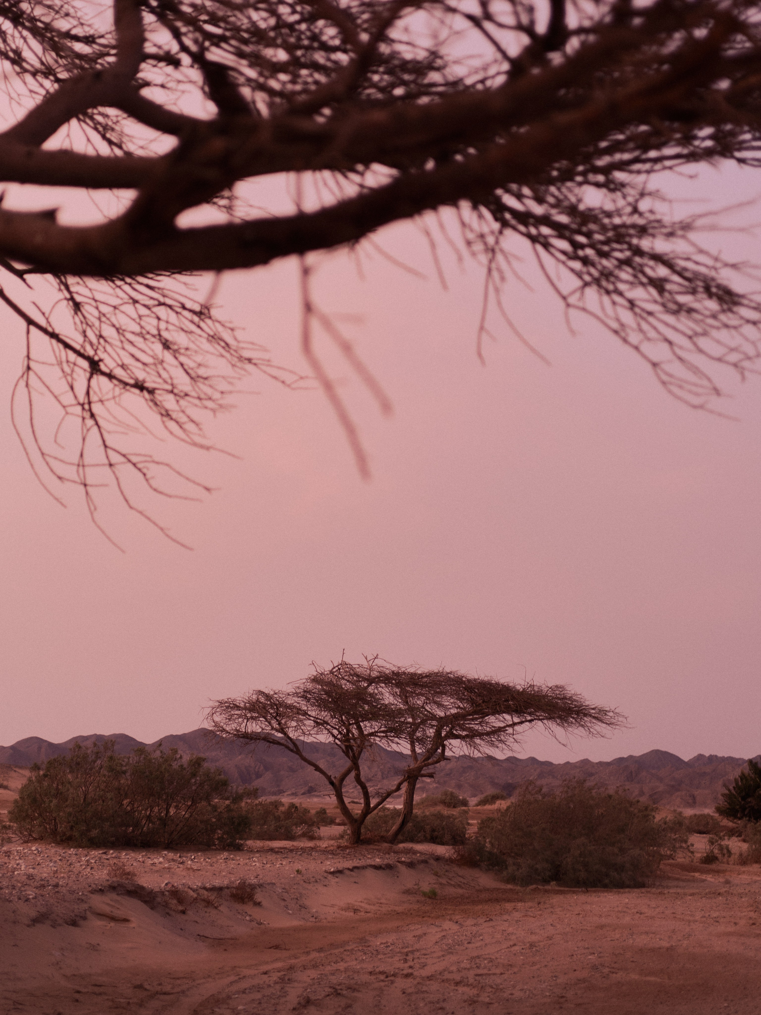 Другое 3. Jorgis Talè — photographer, kind person, teacher of arts and other mag