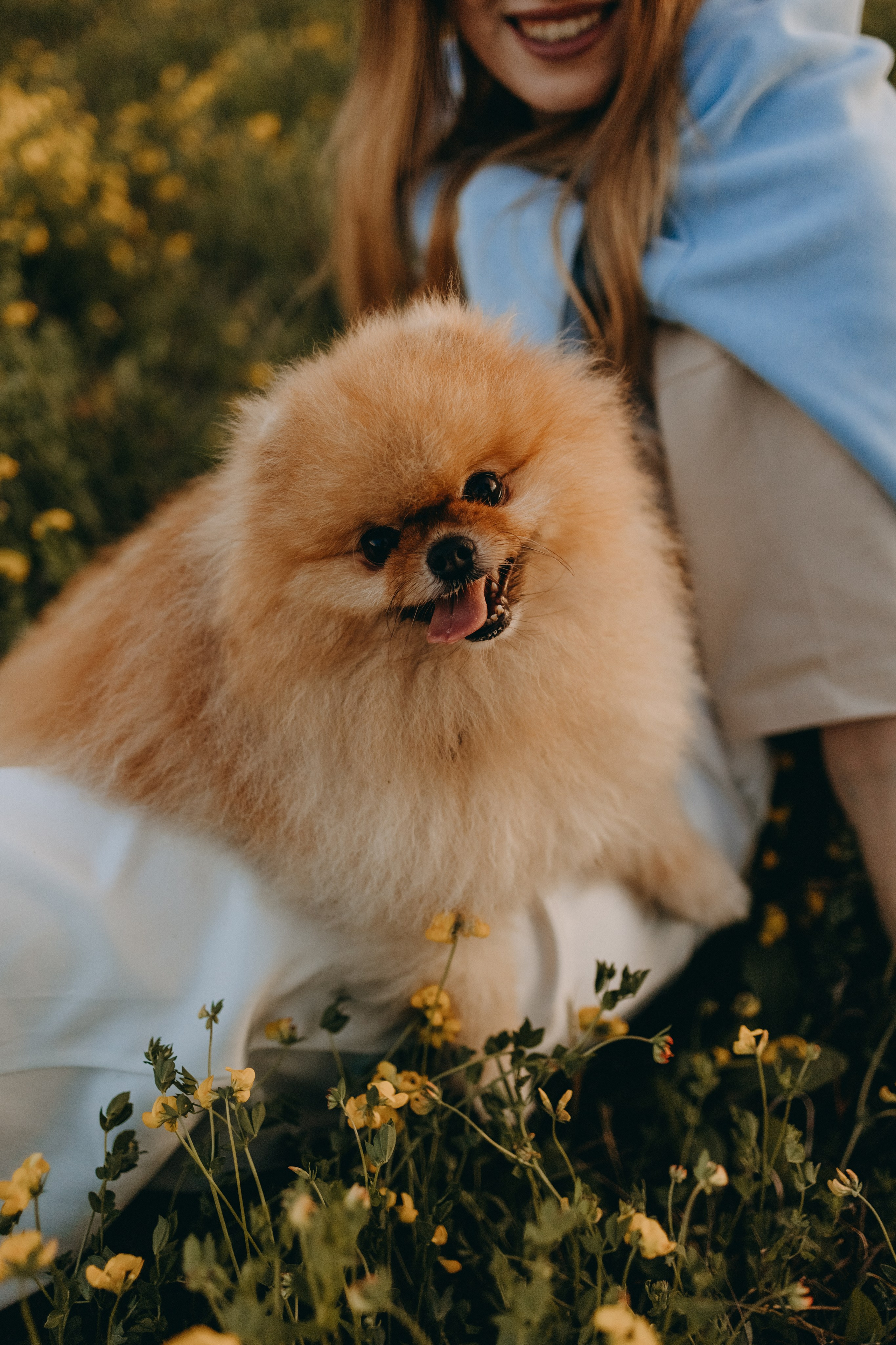 Стив и его семья. Фотограф — Анималист | Санкт-Петербург