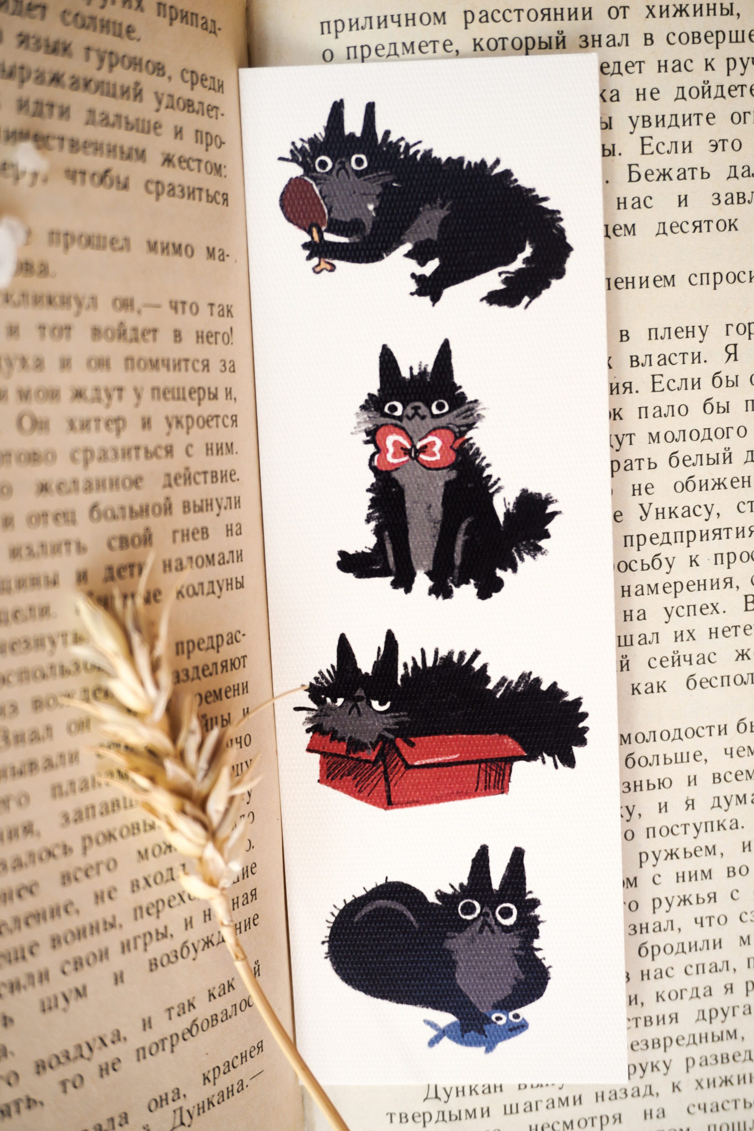 Канцелярия. Кузнецова Мария — профессиональный фотограф в Санкт-Петербурге | Предметная фотосъёмка, модельные тесты, актёрское портфолио, концерты