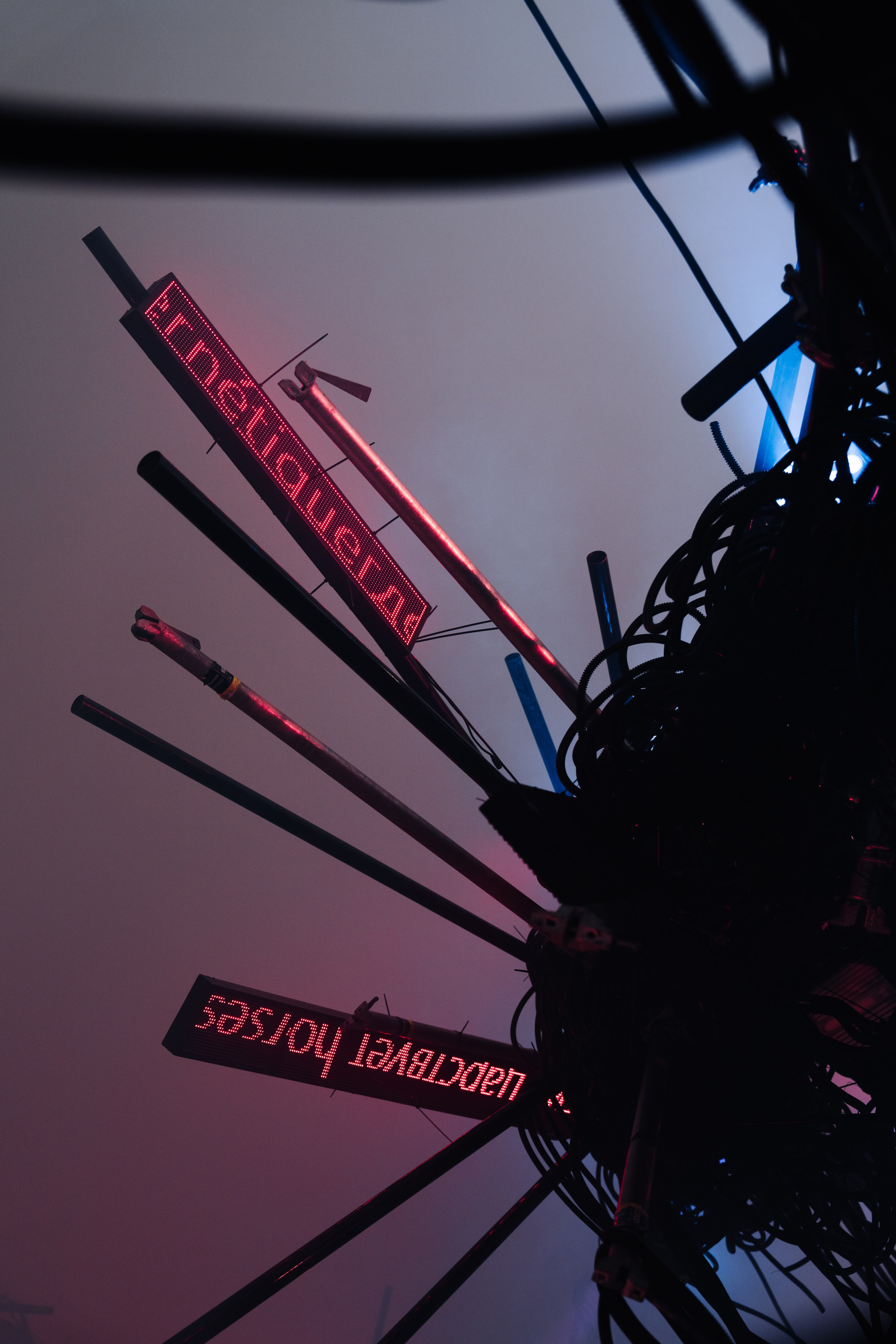 PANTERRA, CHRONOMORPH 001. @tomrus: Рустам Шагиморданов — фотограф