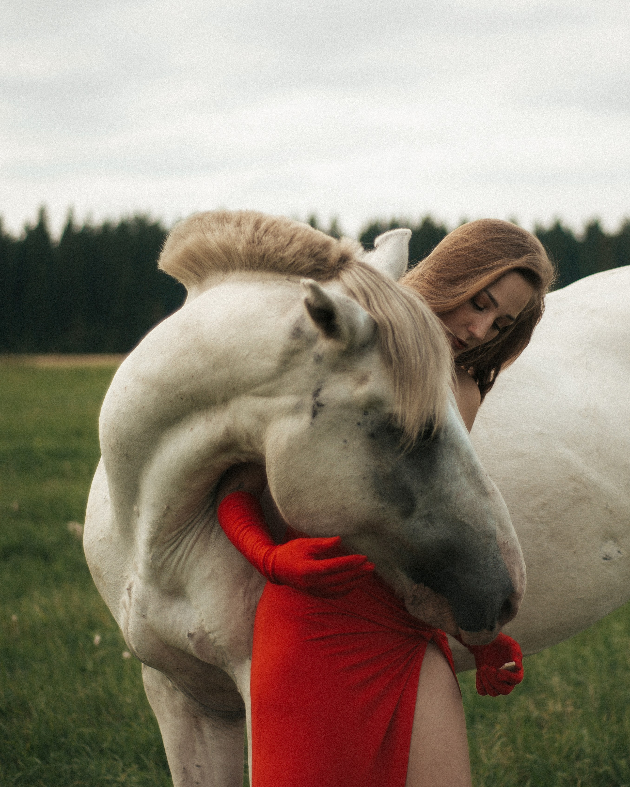 Horse. Фотограф