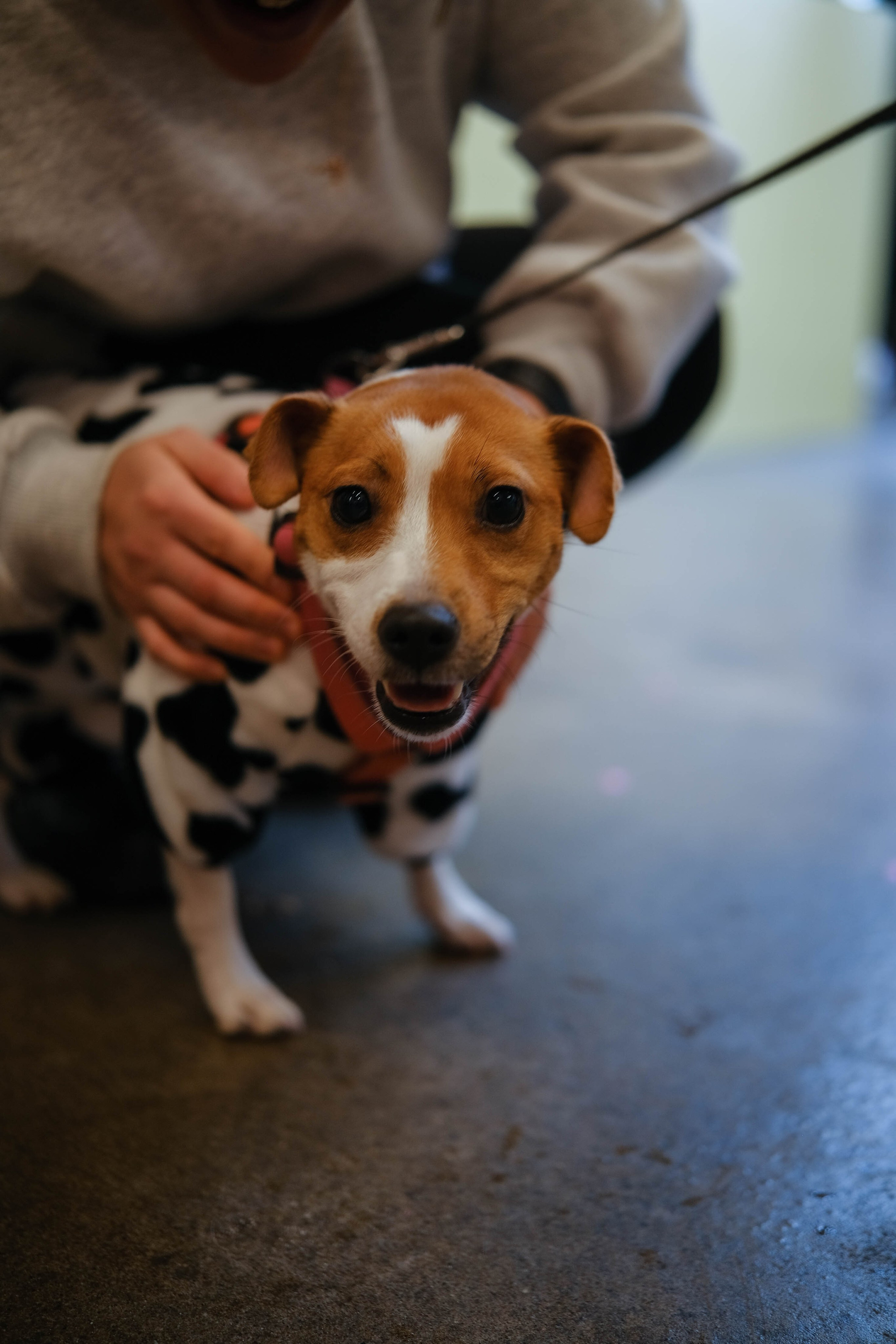 Девичник «Бегущая Невеста». Портретные и творческие съемки Санкт-Петребург