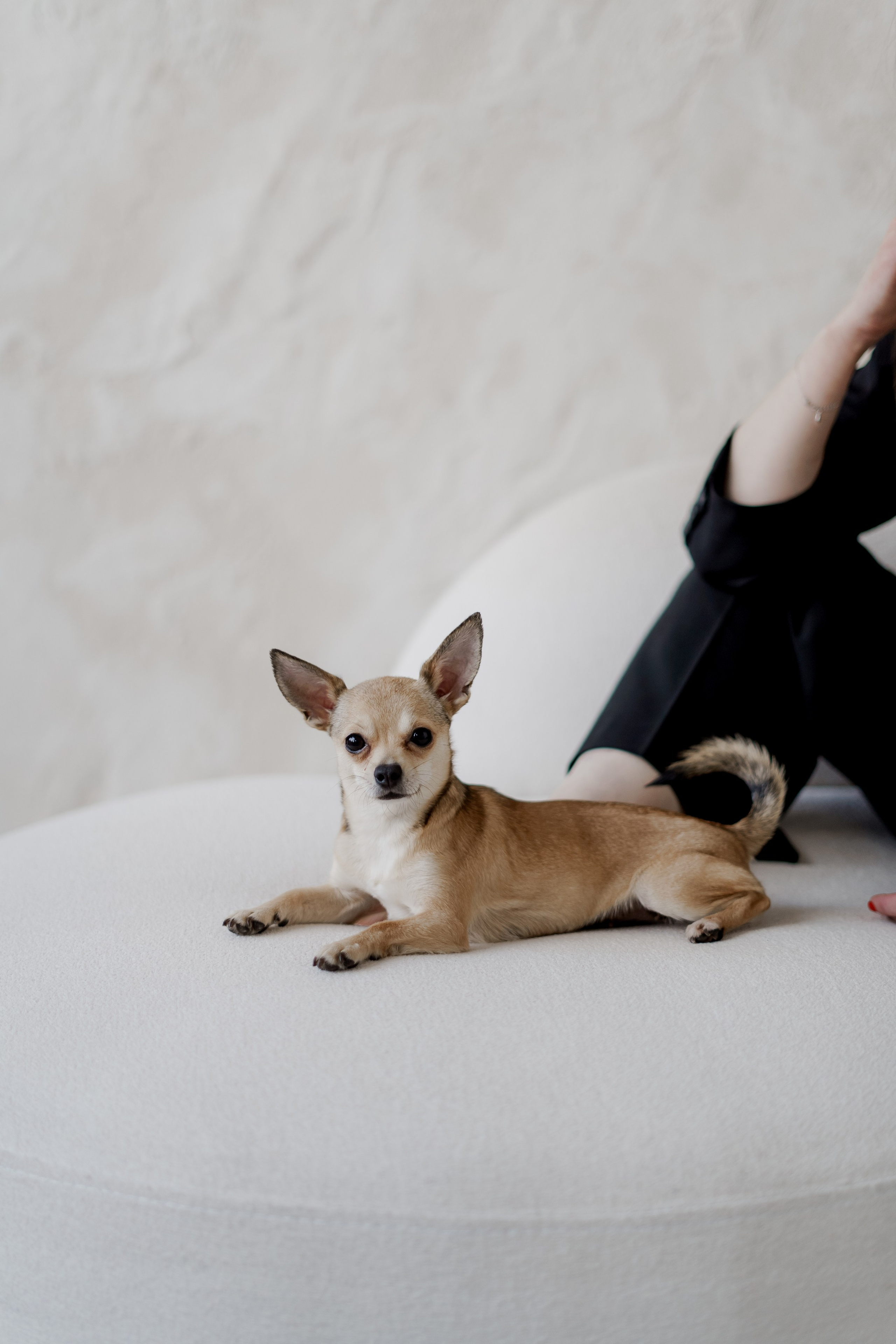 Ксюша. Фотограф Валерия Крахмалева