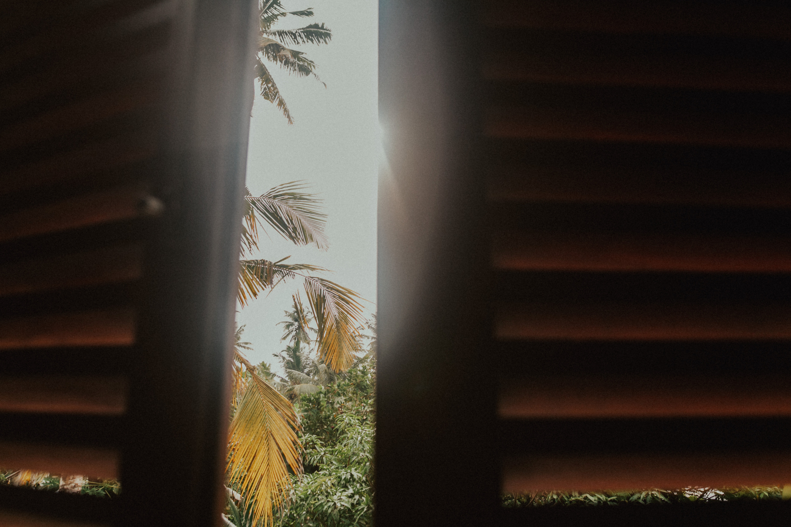 Артем и Юля. Свадебный фотограф Грузия Alex and Polly