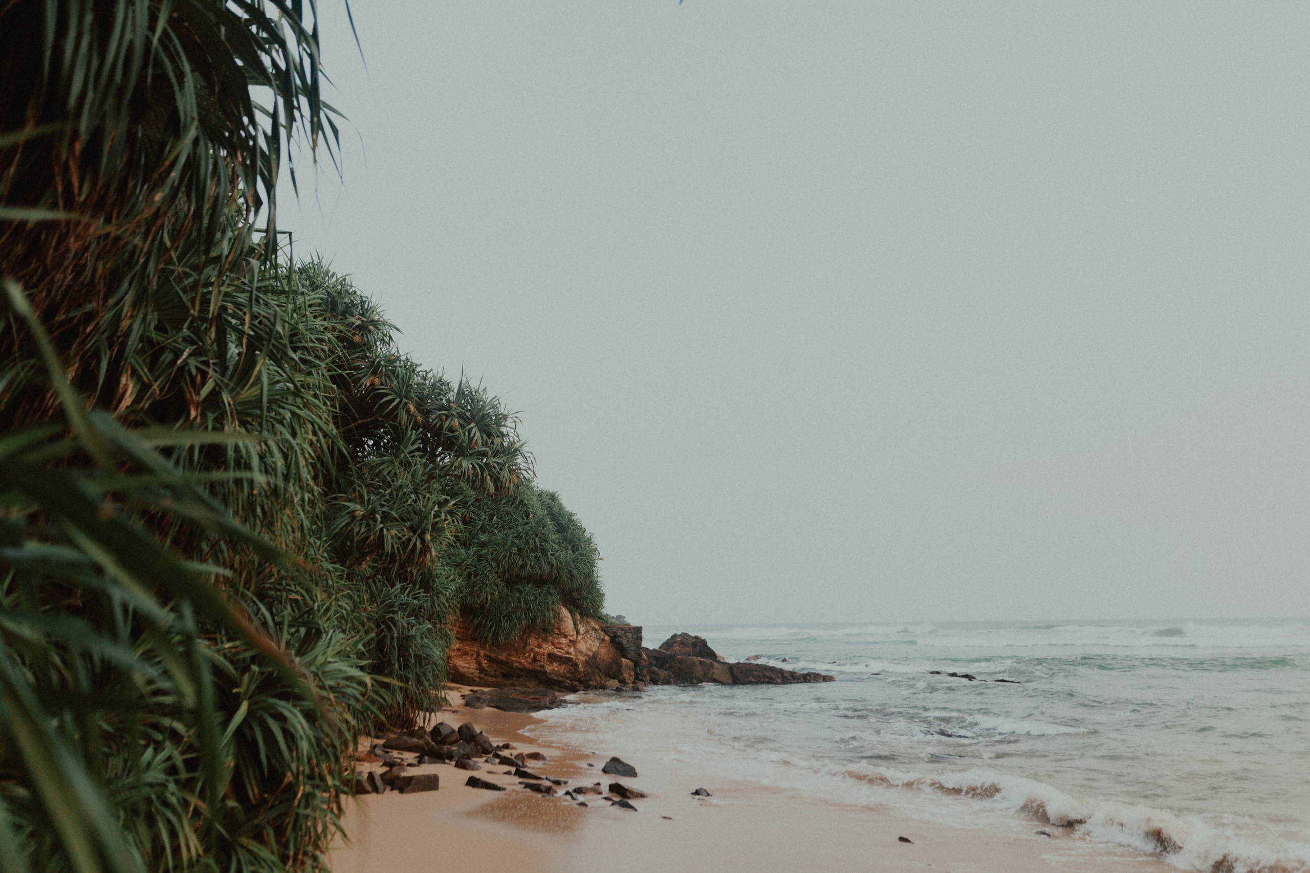 Артем и Юля. Свадебный фотограф Грузия Alex and Polly