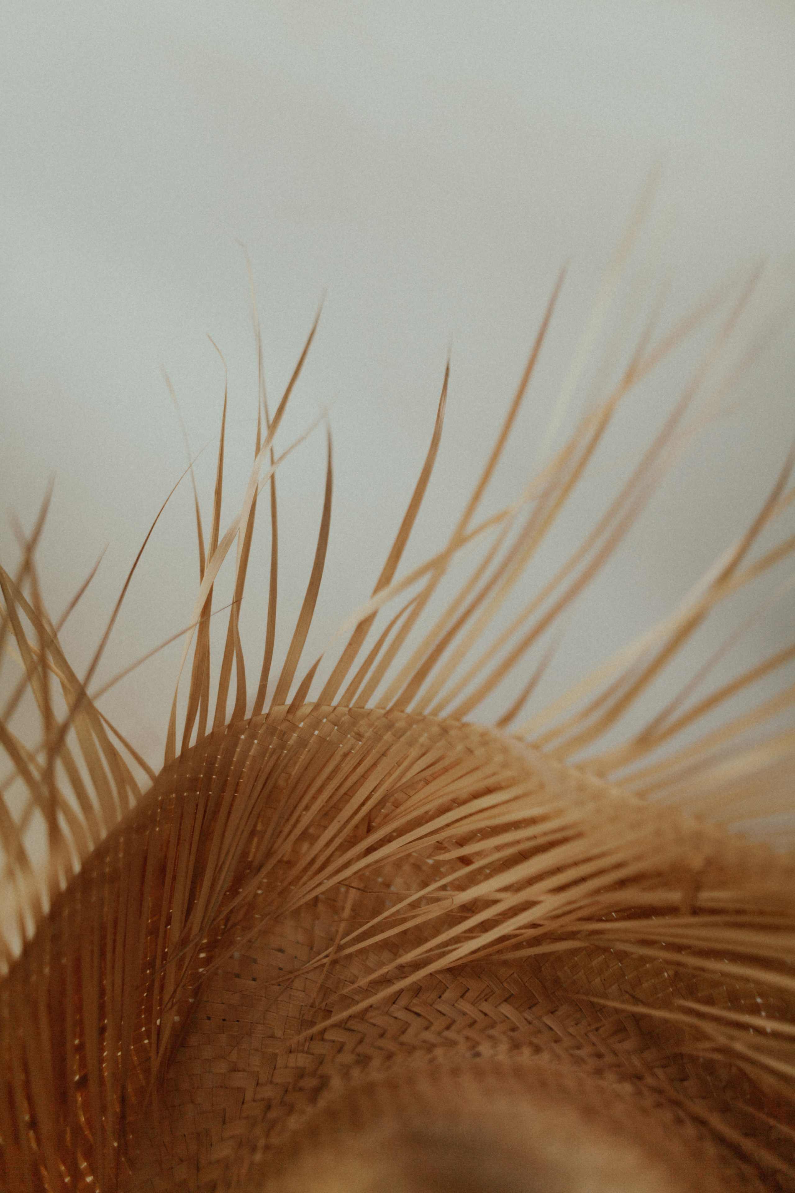 Артем и Юля. Свадебный фотограф Грузия Alex and Polly