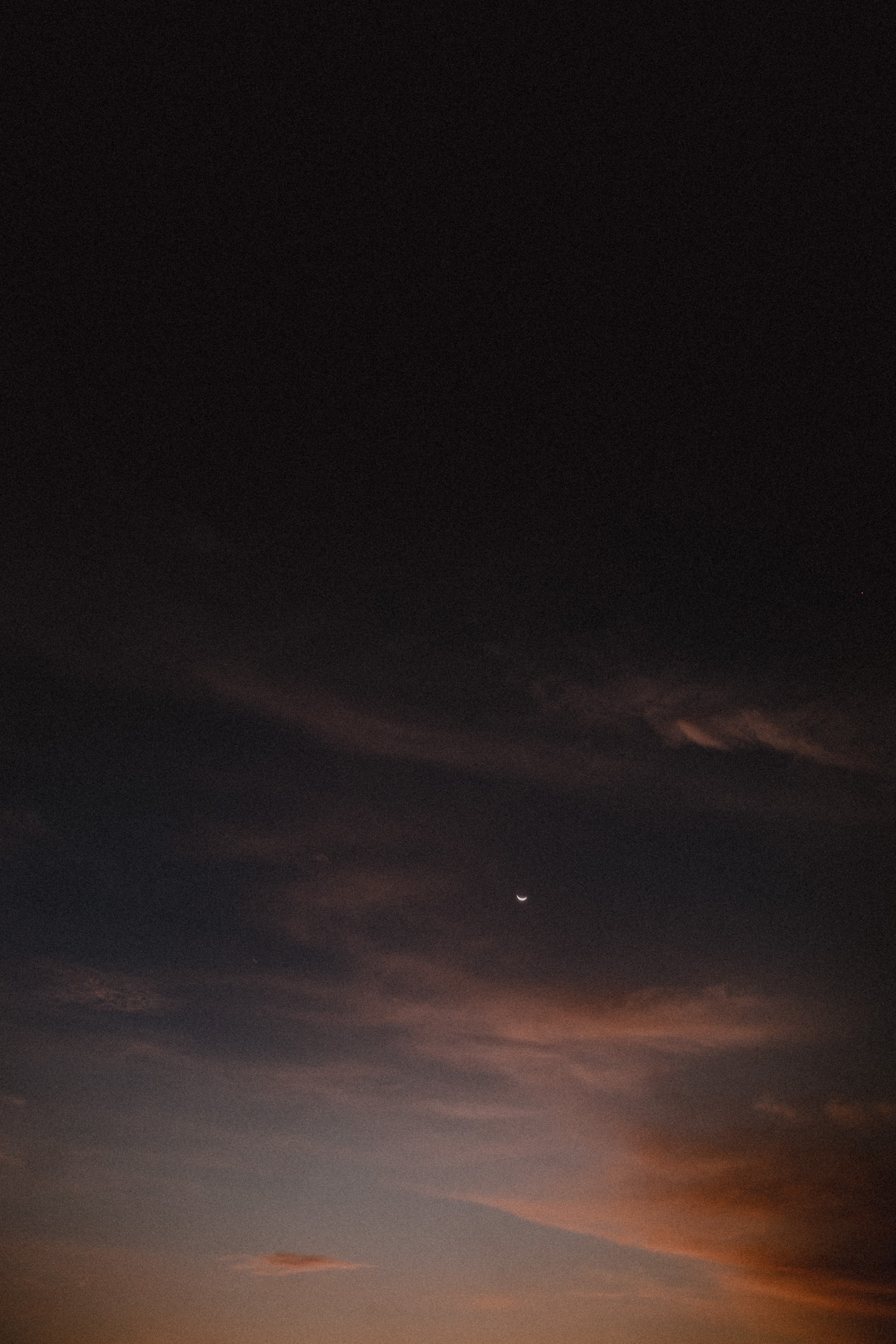 Мила. Wedding photographers Tbilisi Georgia Alex and Polly