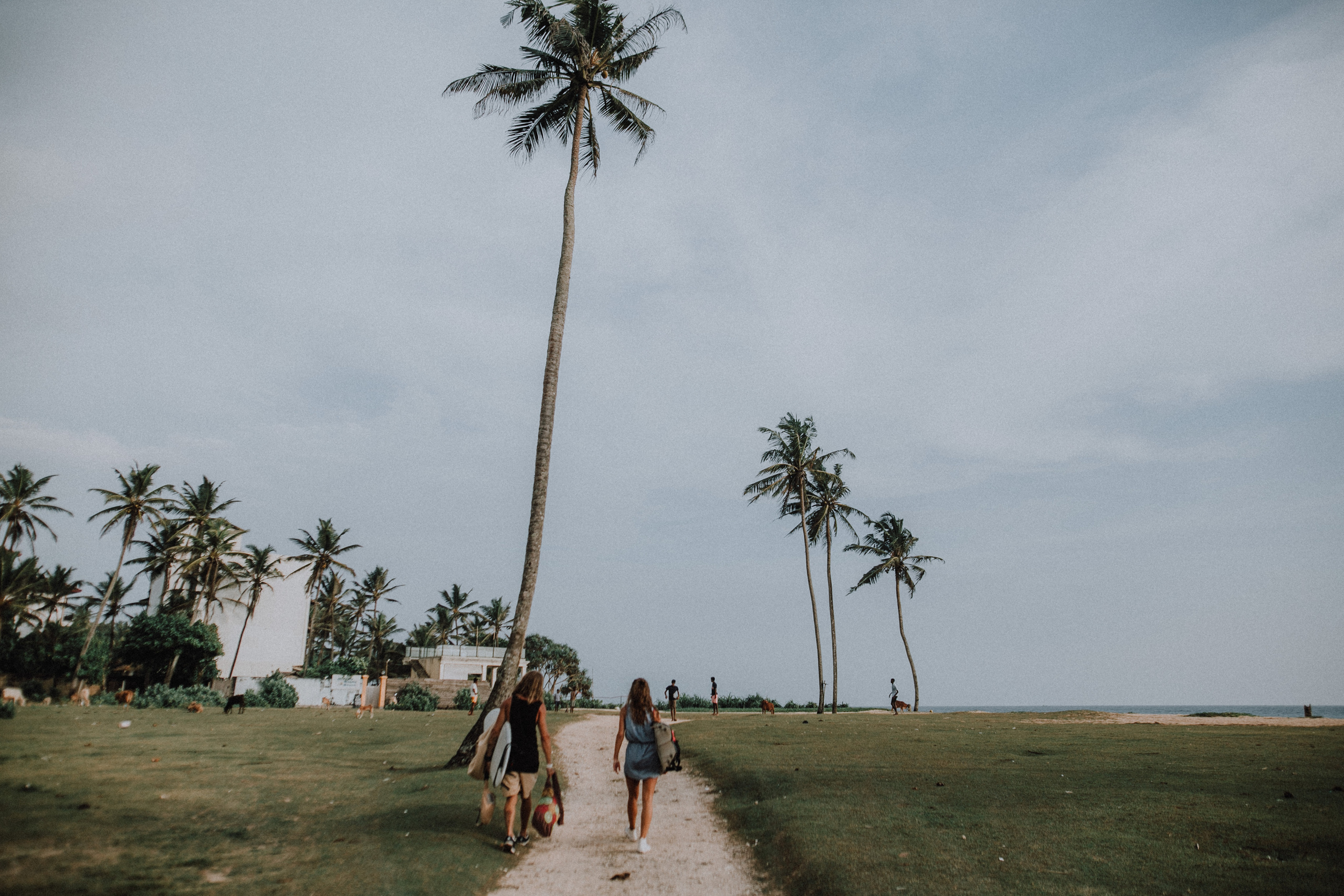 Лера и Антон. Wedding photographers Tbilisi Georgia Alex and Polly
