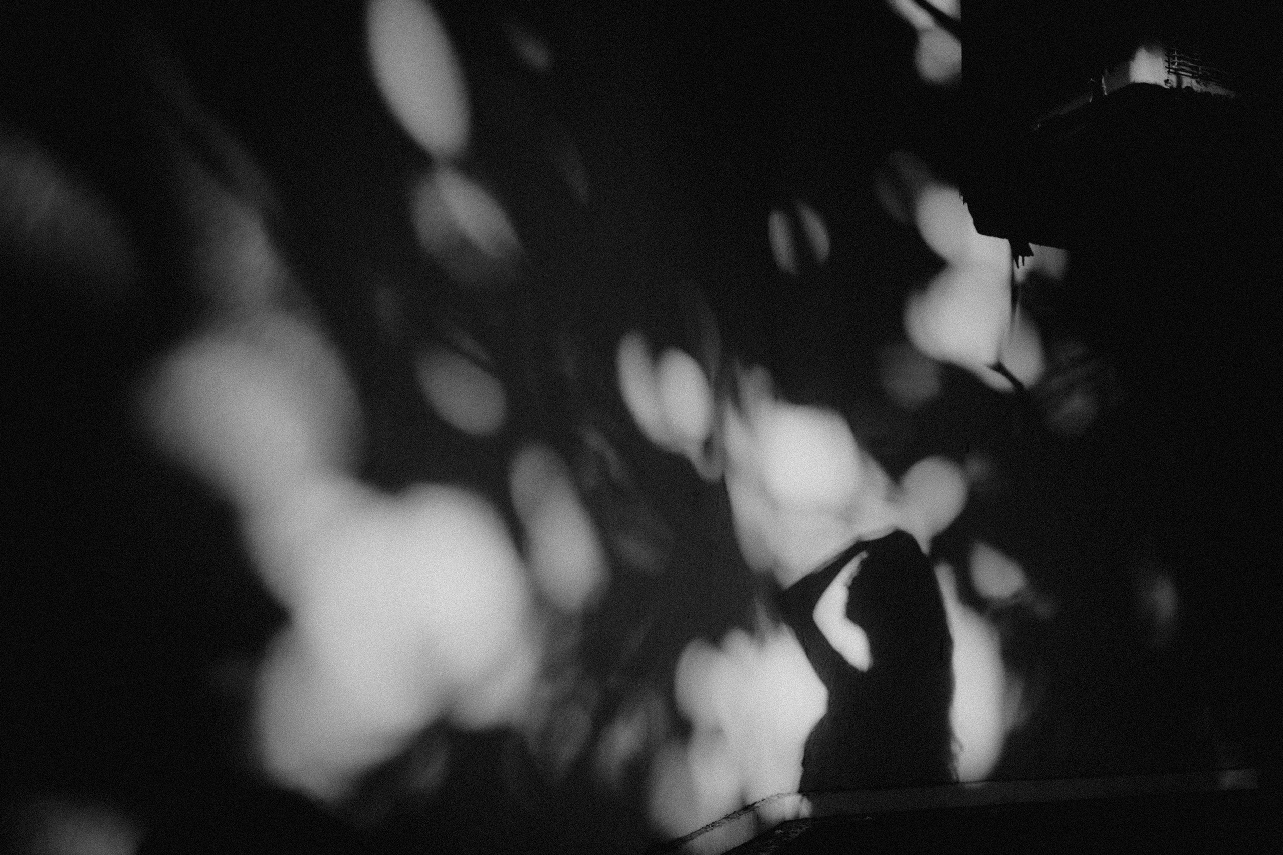 Мила. Wedding photographers Tbilisi Georgia Alex and Polly