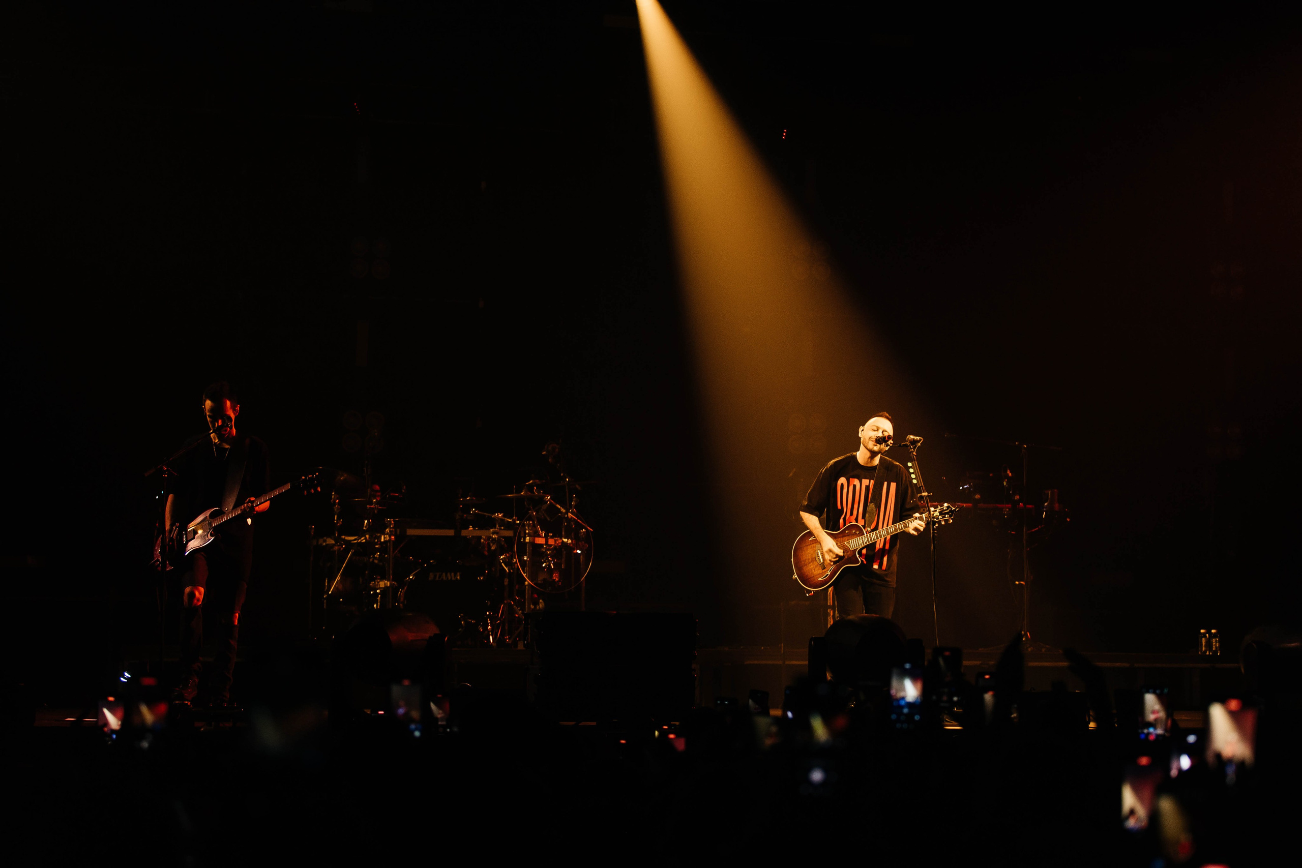 Звери. _Carpe diem_