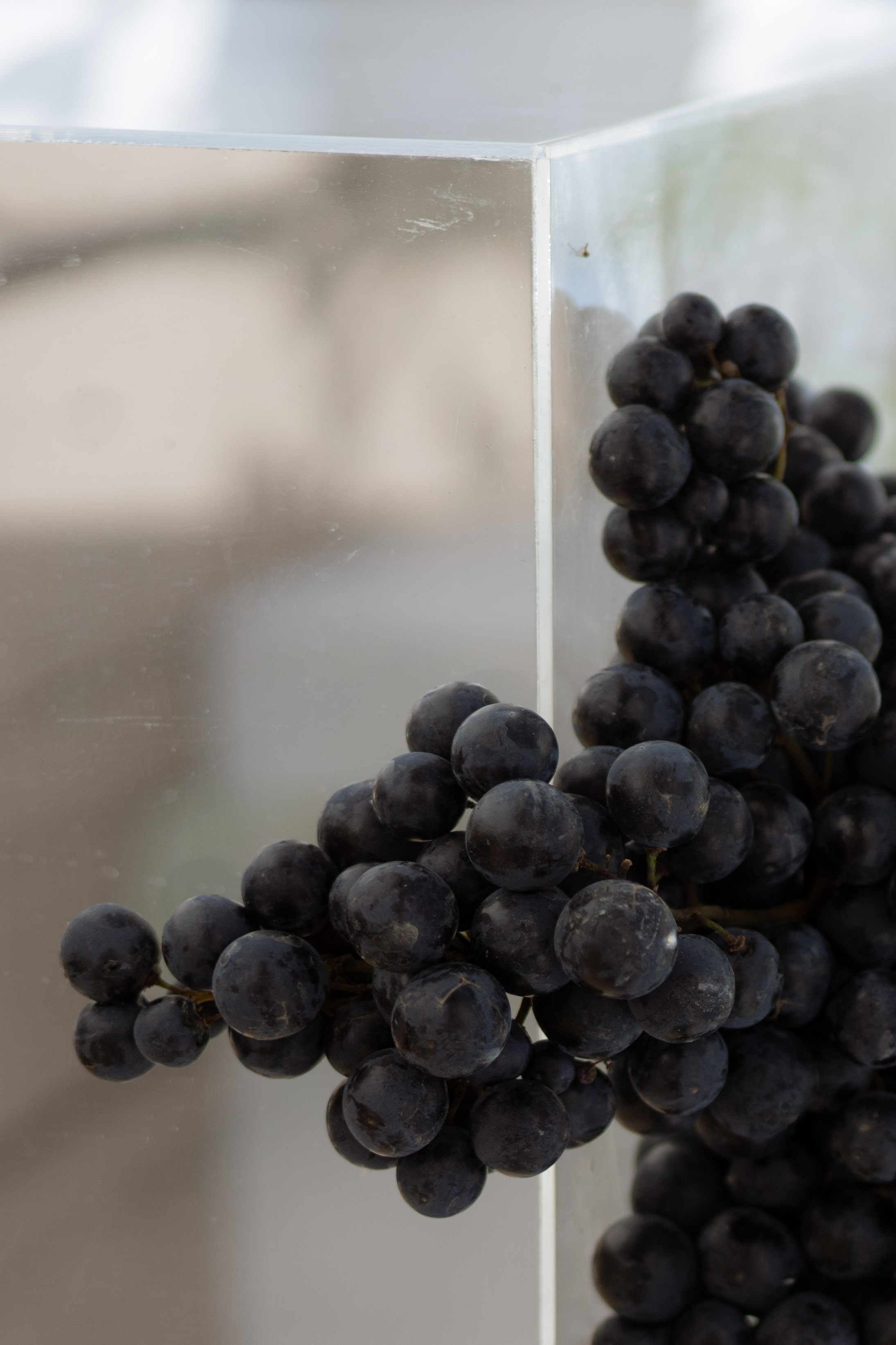 Алина & Андрей. Оформление свадеб, декор свадеб Вера Маркова, Москва