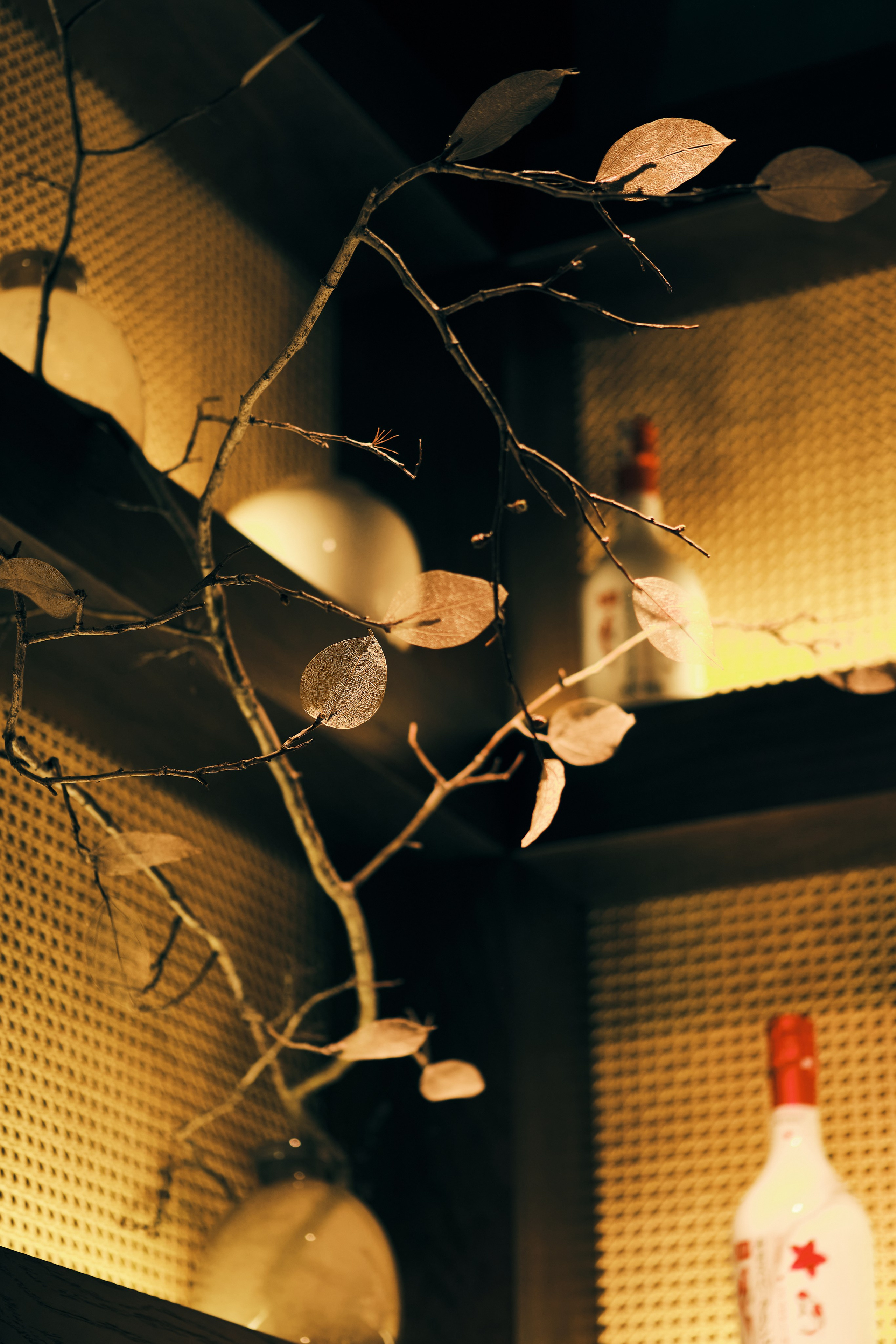 Shio. Коммерческий фотограф Астана. Fashion съемка Food съемка, Reels