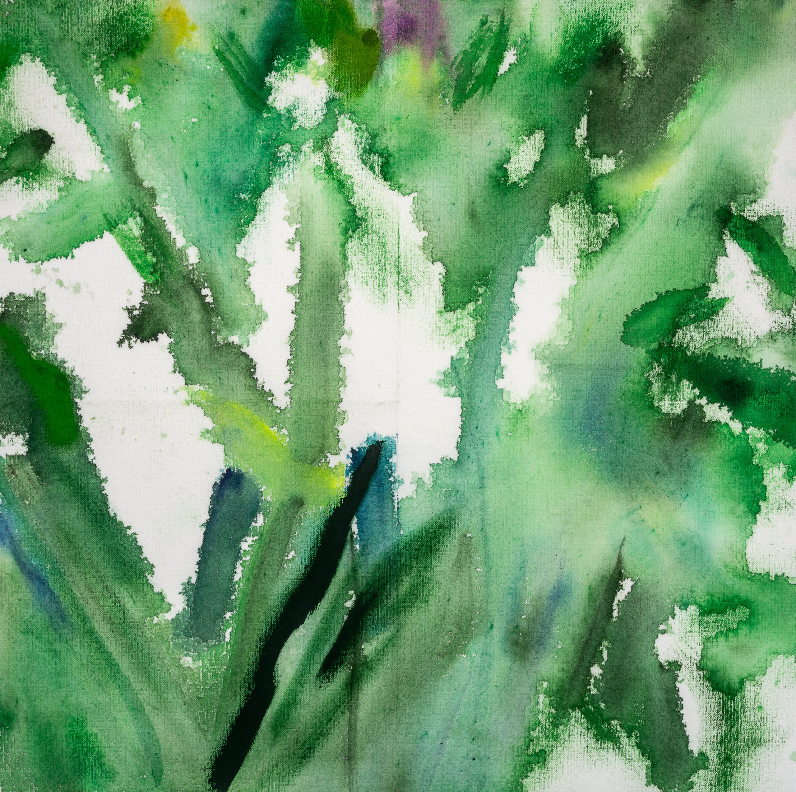 Аня Ким — Дикий сад