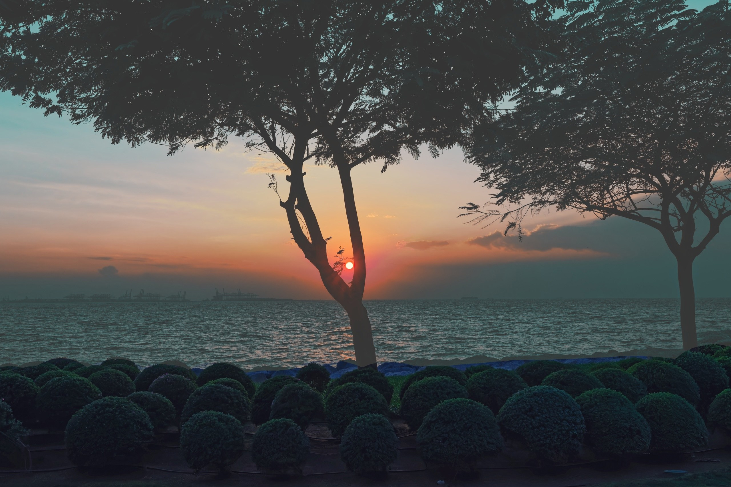 ПРИРОДА. Слепки времени. Фотографии природы и событий. Москва. Сергей Аллагулов