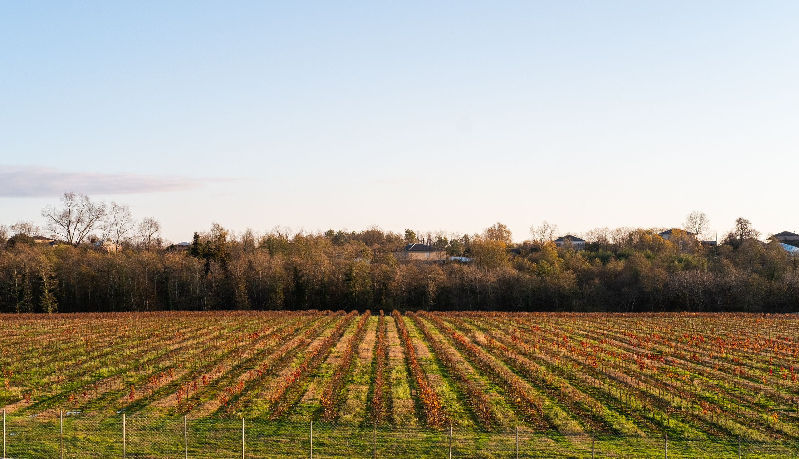 Shato Labra. Фотограф на Бали|Свадьба на Бали