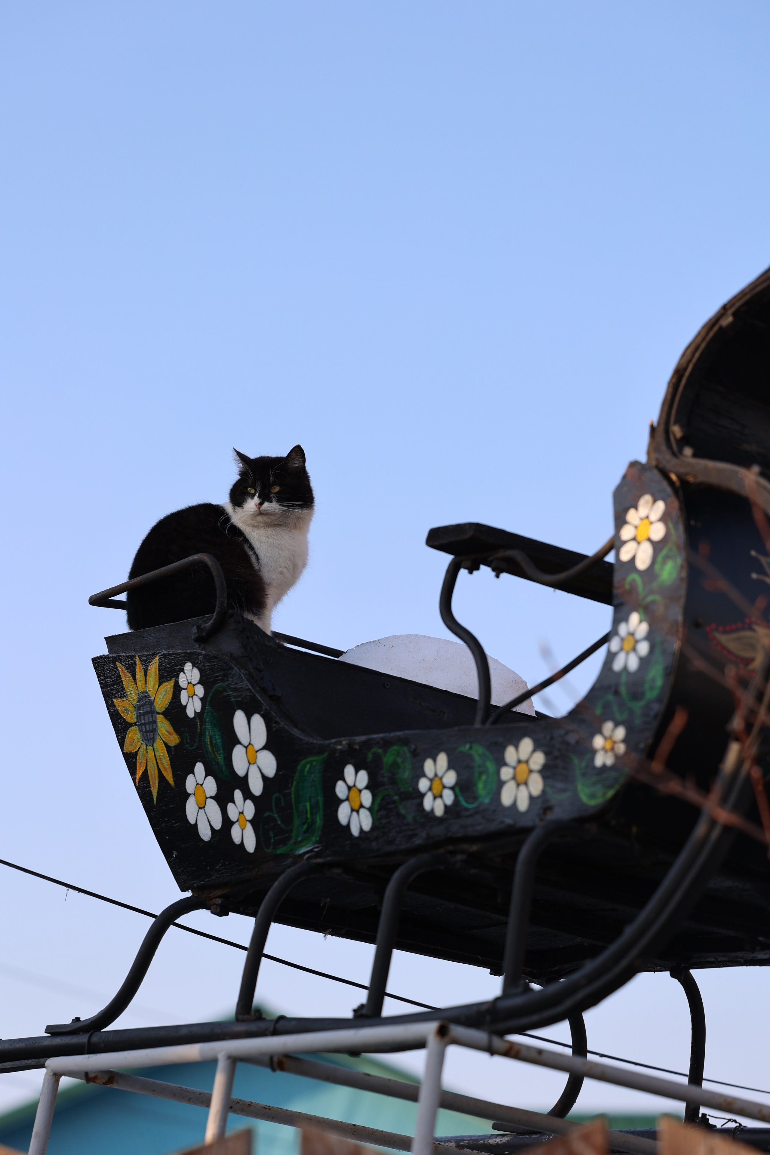 Любимое. Фотограф в Санкт-Петербурге Анна Сосновская