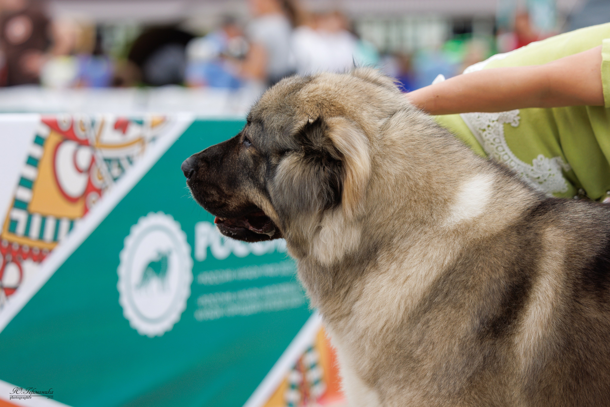 РОССИЯ 7-8.06.2025. Фотограф-анималист Юлия Германика