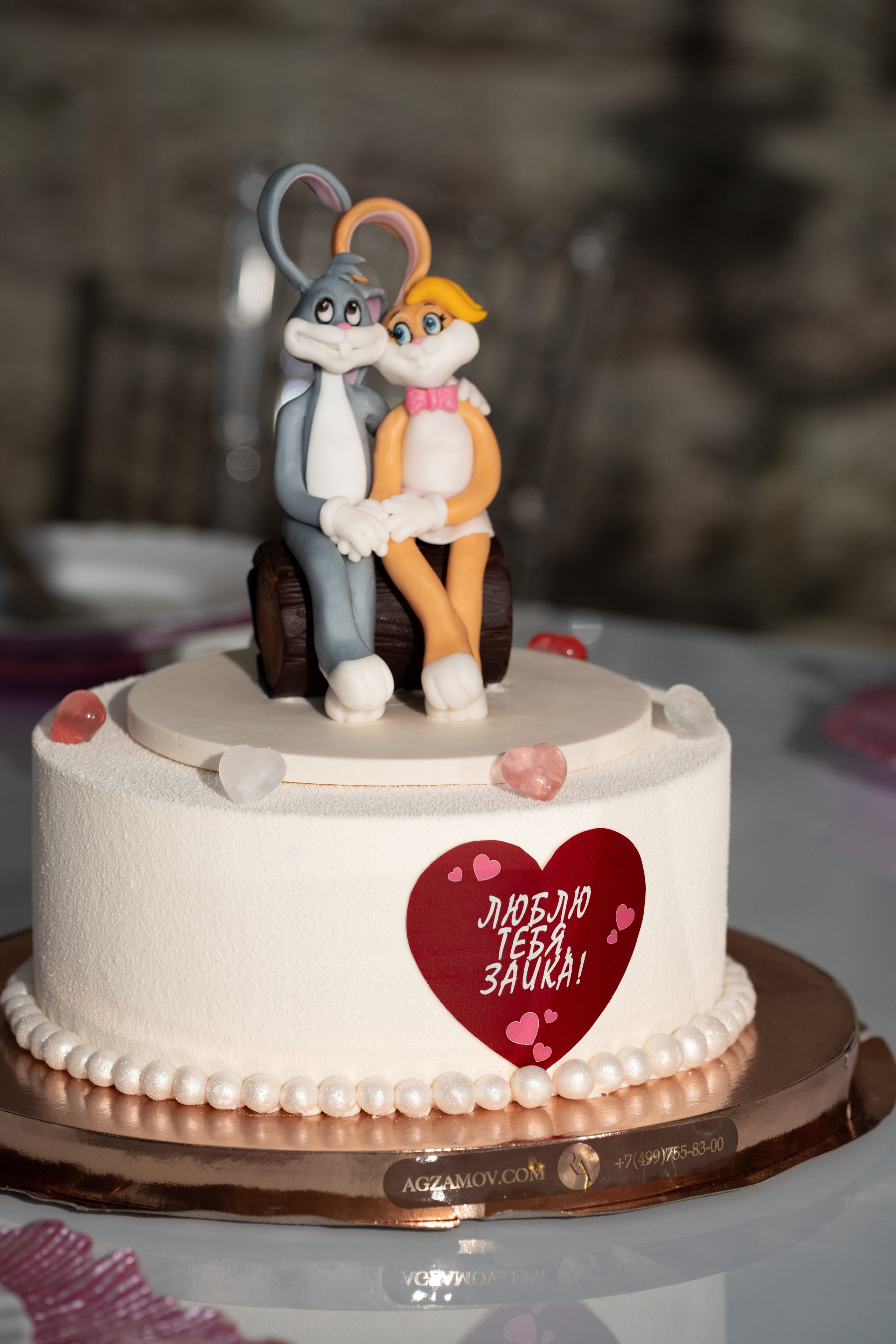 День Рождения за городом. Фотограф в городе Владимир