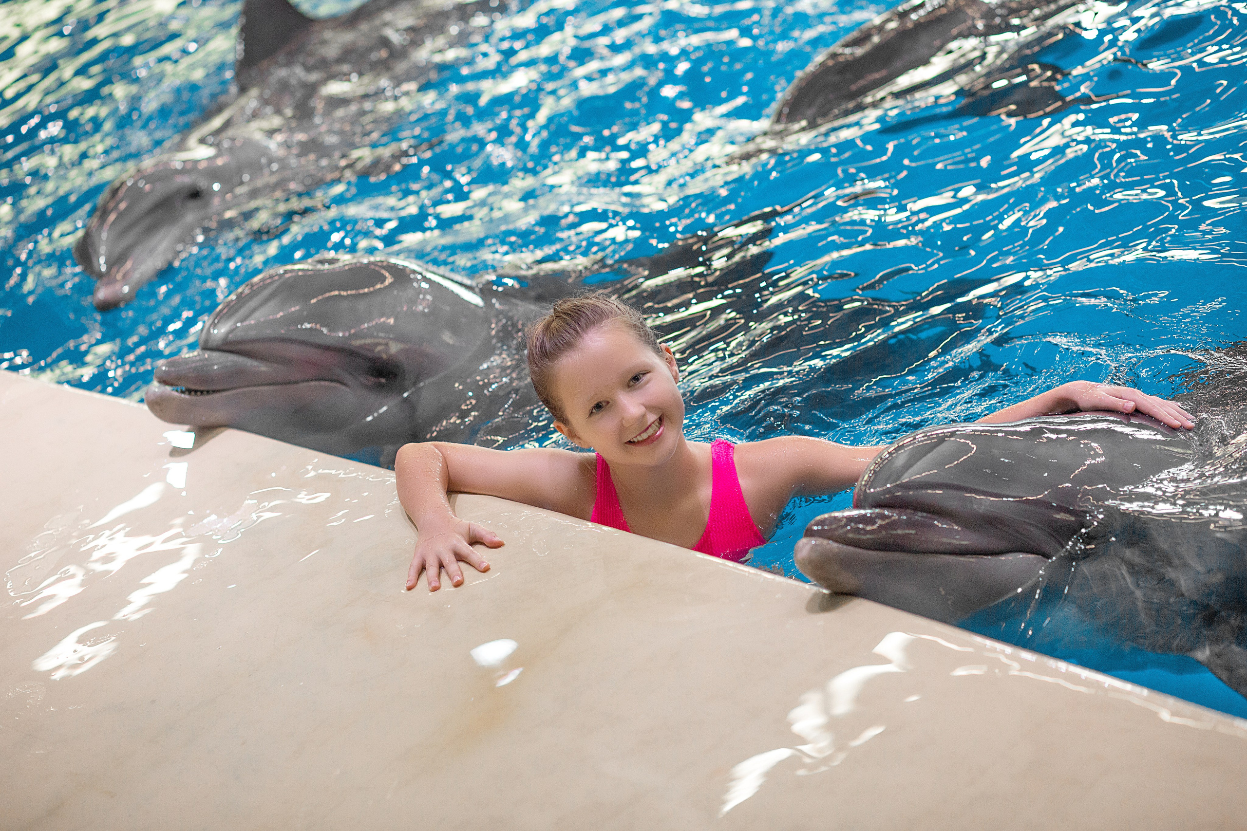 Катя и дельфины. Фотосессия с лошадьми в Нижнем Новгороде
