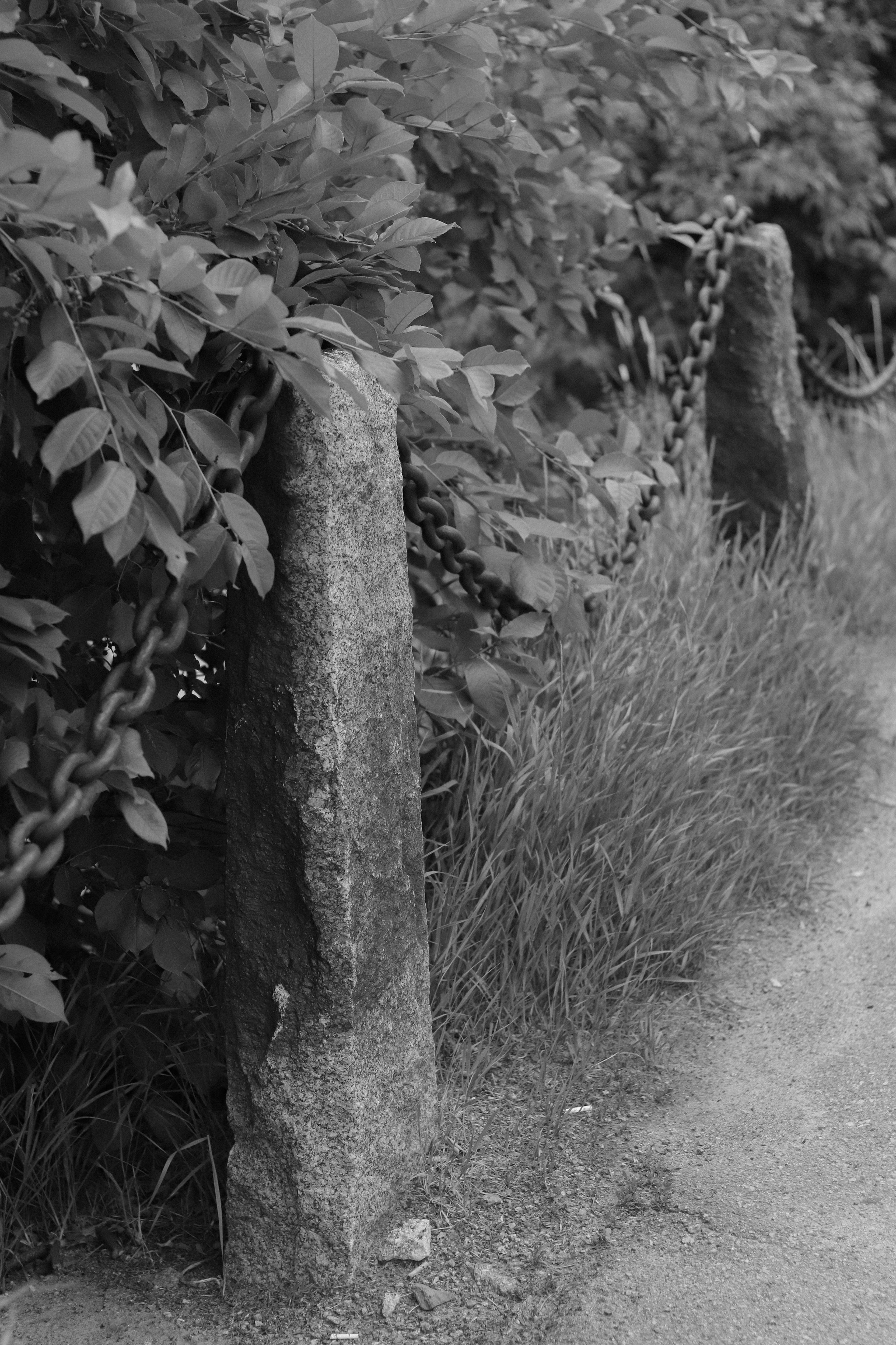 Contour. Фотограф и исследователь фотографии из Санкт-Петербурга Елизавета Веприцкая