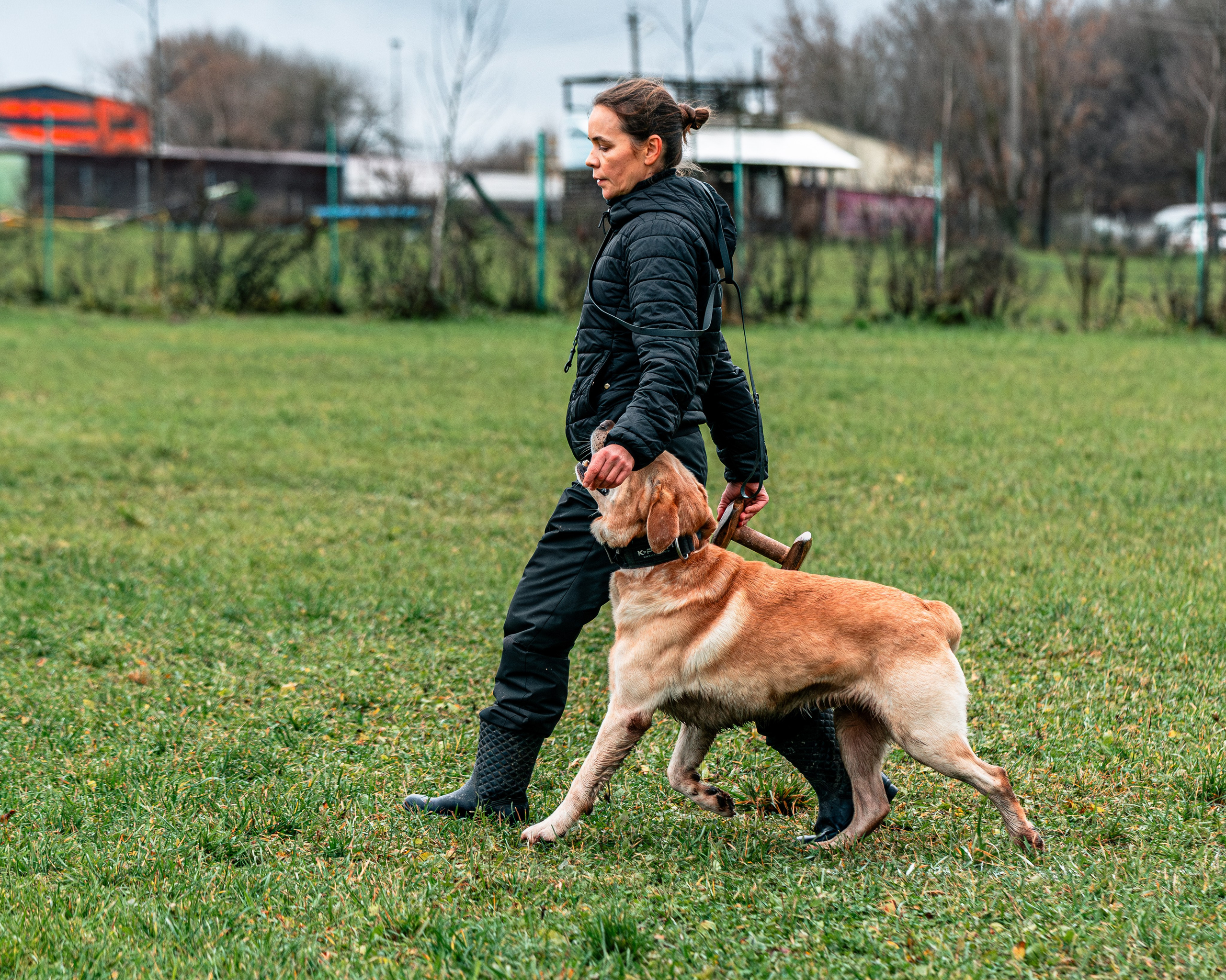 МЫ — КОМАНДА (соревнования) OKD, BH, IBGH, IGP. Фотограф-анималист, семейный фотограф в Москве и Подмосковье. Фотосъёмка кинологических дисциплин